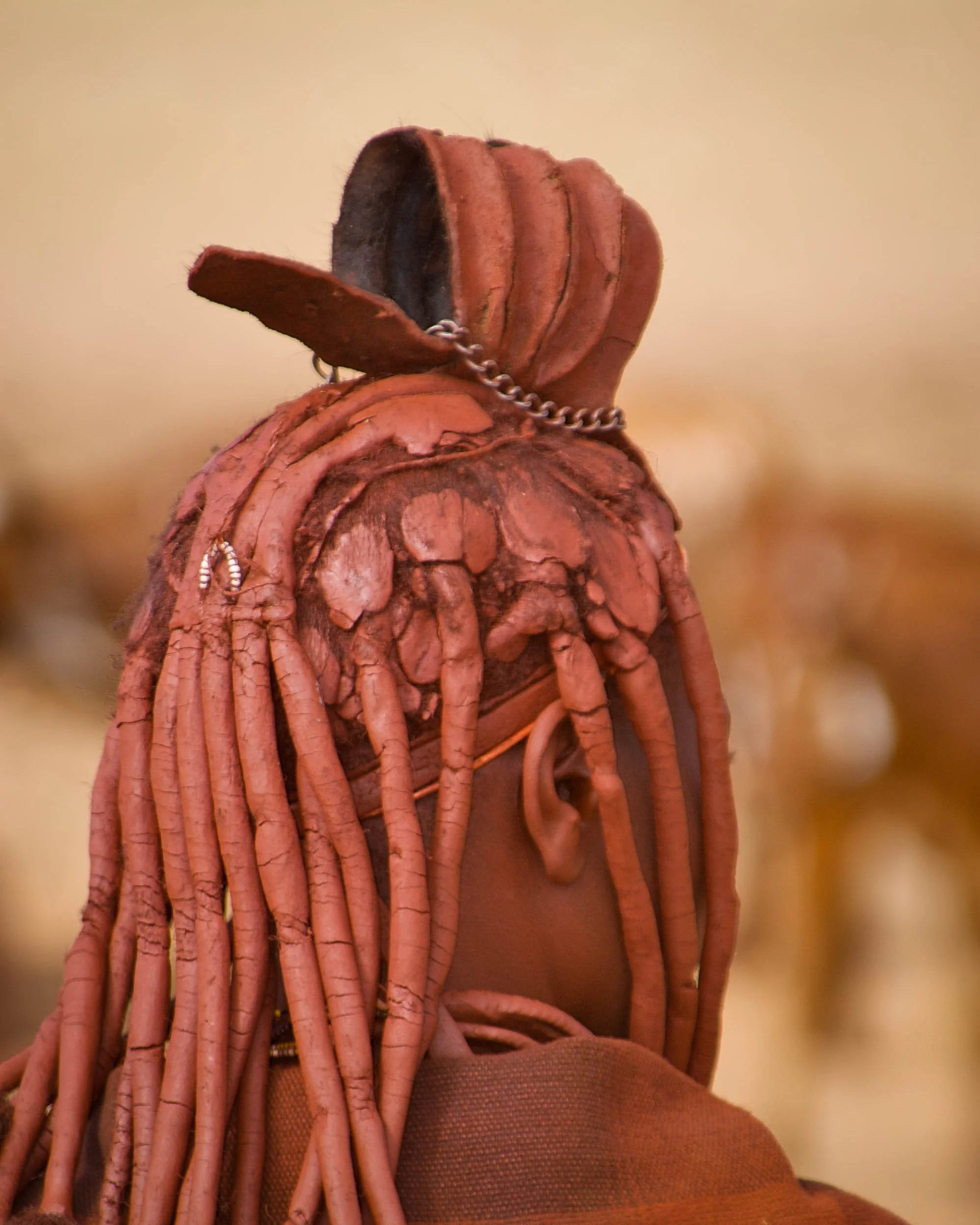 A person with long, braided hair wearing a large, eye-catching headpiece that resembles a turtle with a shell made of reddish-brown material, and a chain necklace. The person is facing away, emphasizing the elaborate headgear.