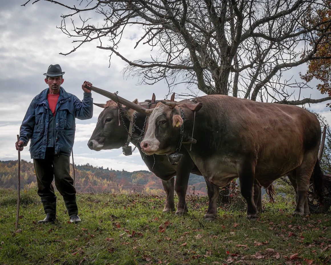 Posing with Oxen.jpg