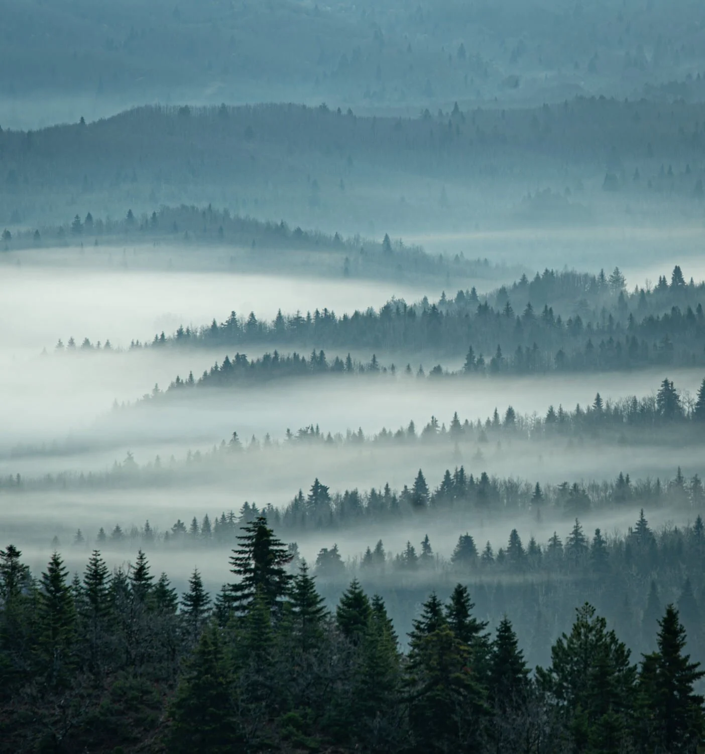 Misty sunrise - Greece

  Land + Terrain, Atmosphere + Light  