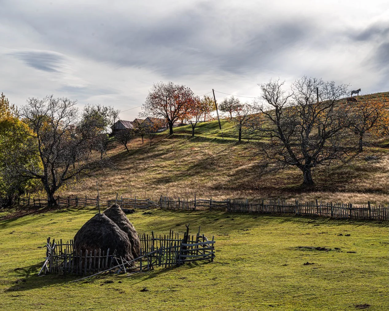A rural landscape with a green grassy field, a haystack with a wooden fence, leafless trees, a hill with a few houses, and a horse on the hill under a cloudy sky.