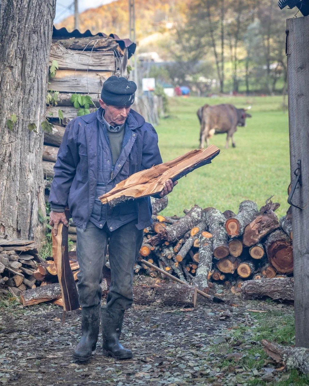 Man collecting wood.jpg