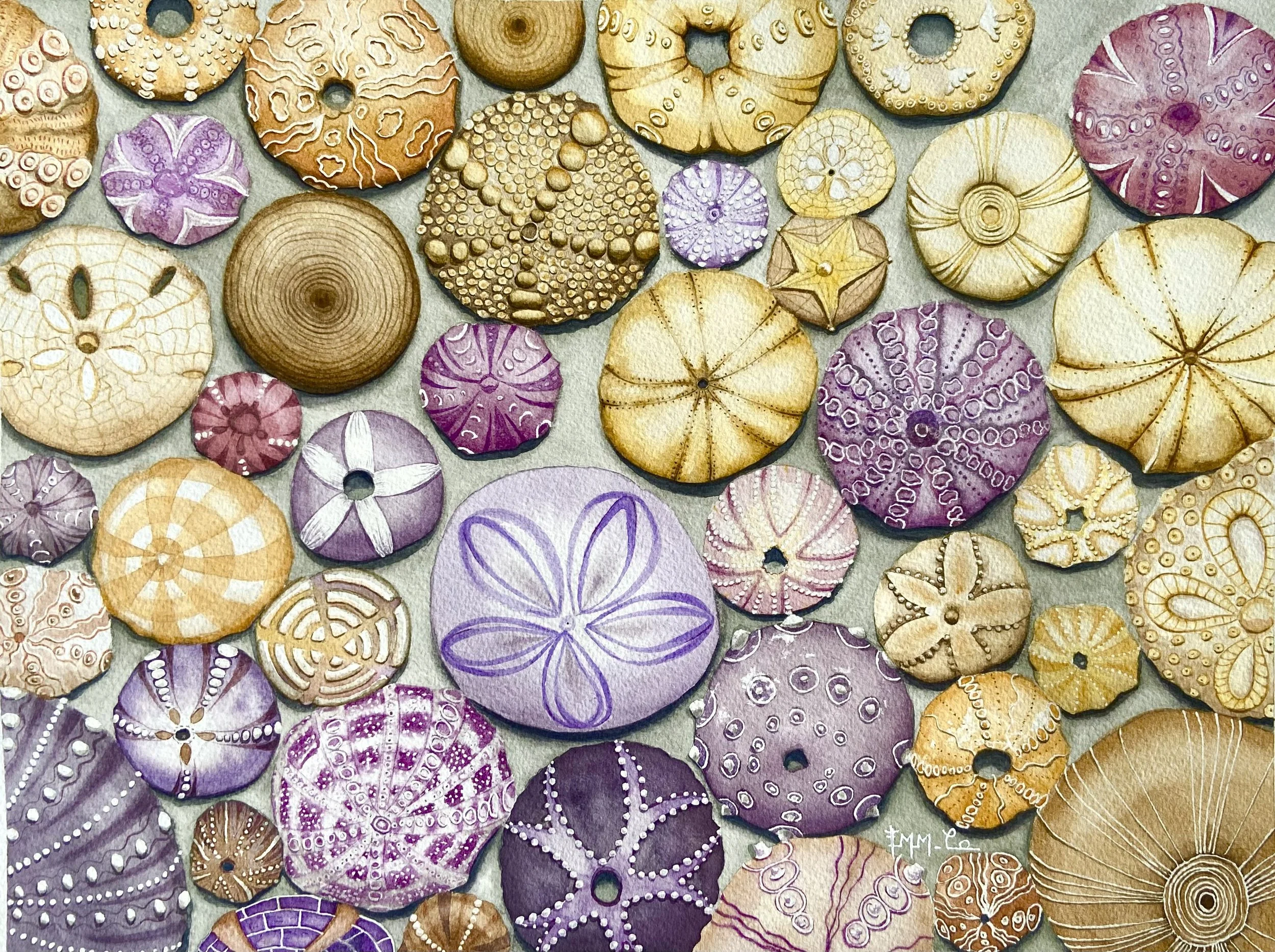 Une collection de coquillages colorés et décorés dans des tons de violet, jaune et beige, tous de différentes tailles et motifs, disposés sur une surface plate.