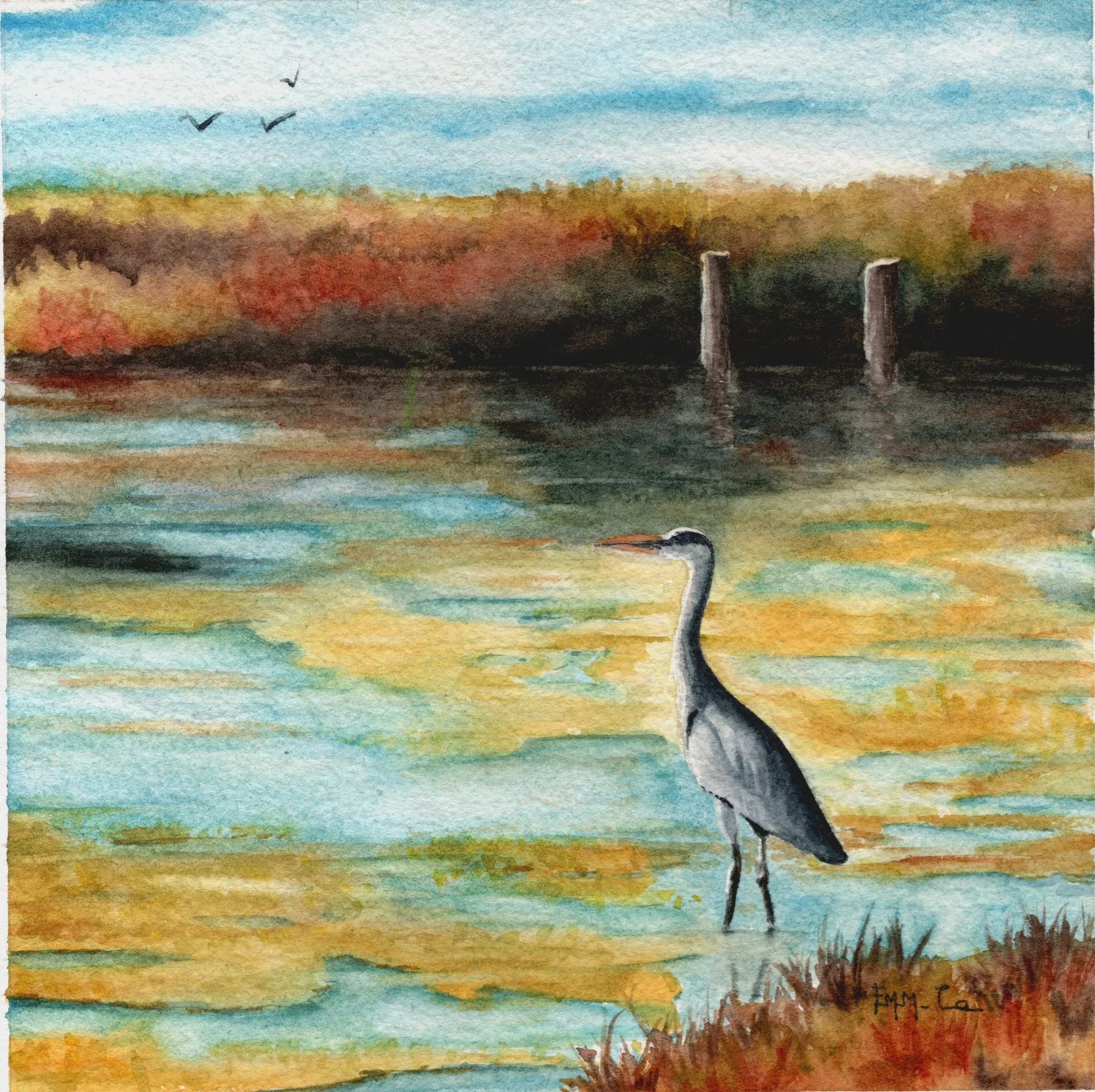 Héron, Morbihan, aquarelle, Emmanuelle Courty