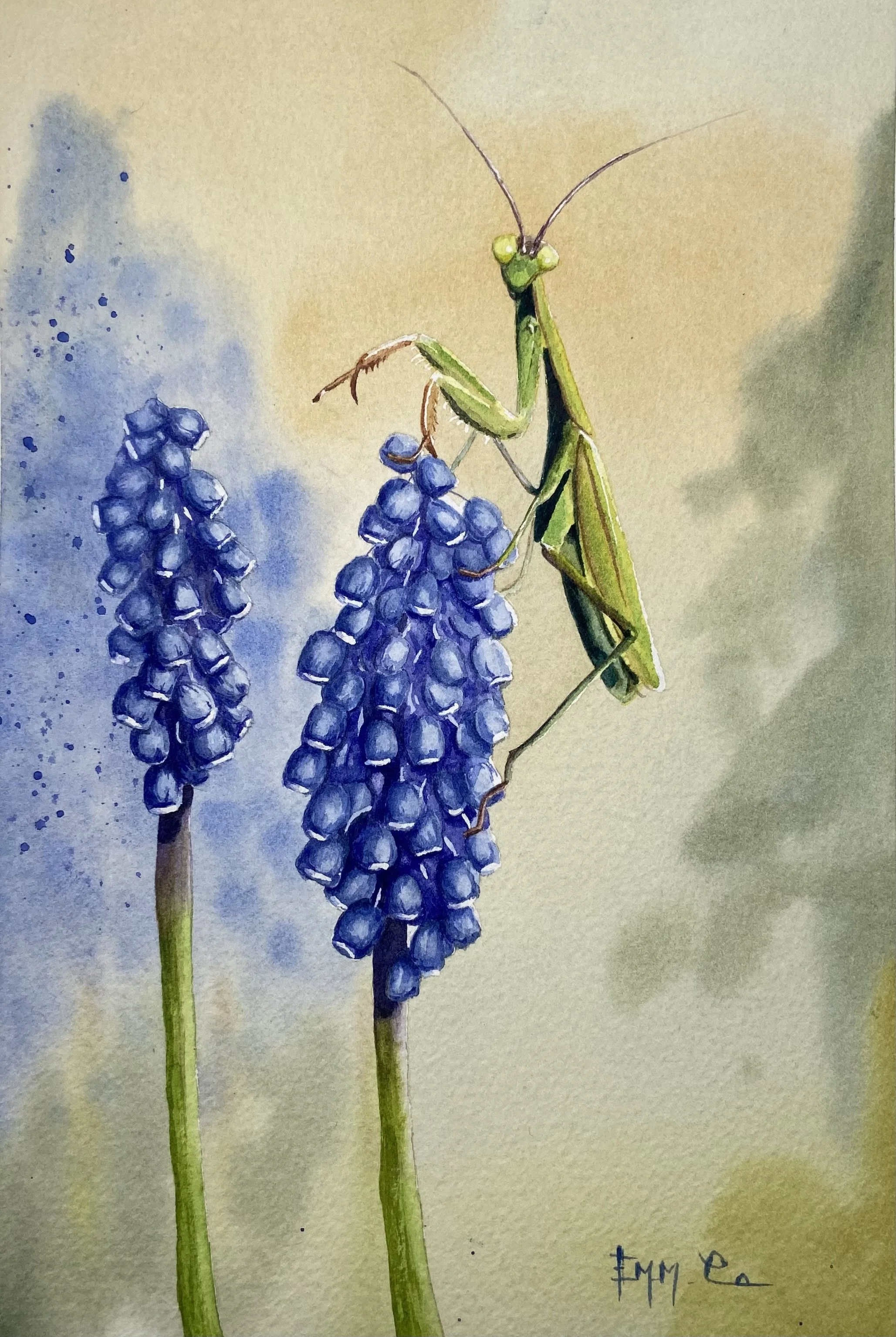 Huile sur toile représentant des grappes de muscari violettes avec une mante religieuse verte perchée sur une des grappes, arrière-plan flou de couleurs douces.