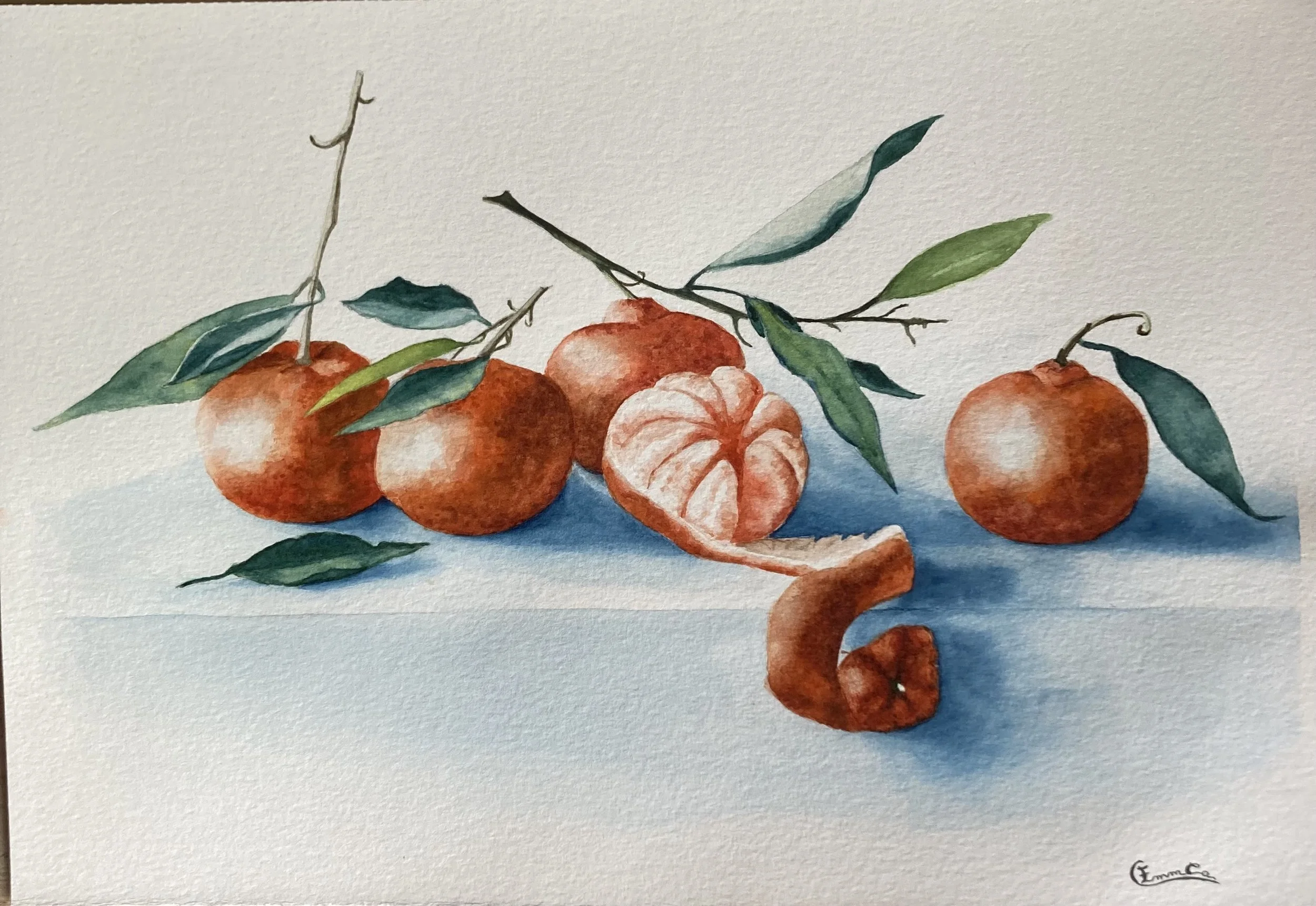 Clémentines, aquarelle Emmanuelle Courty