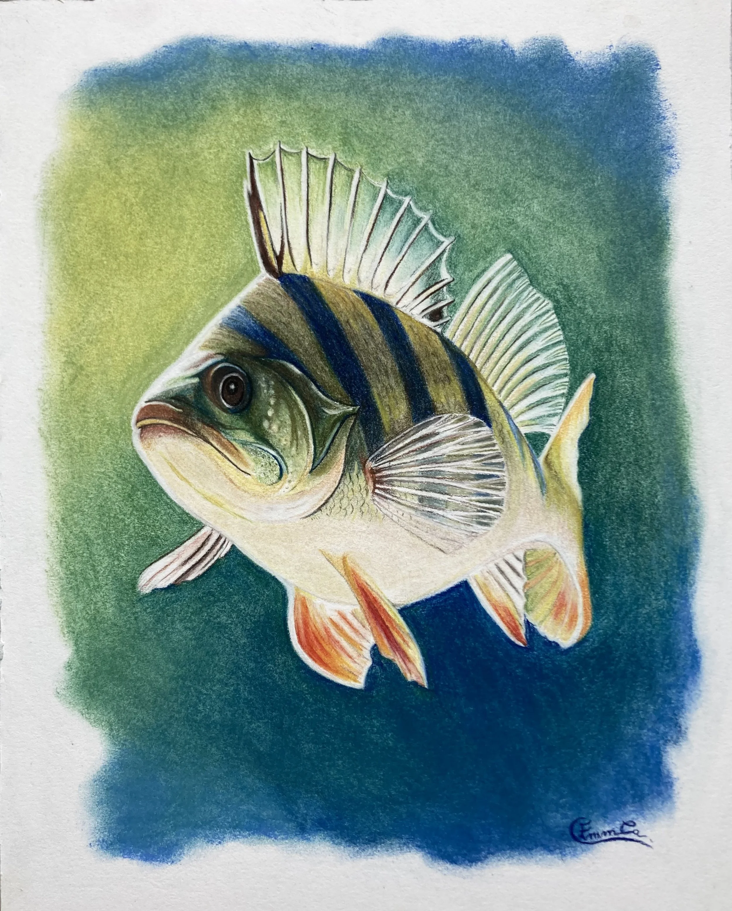 Une illustration d'un poisson tropical avec rayures verticales noires, jaunes et bleues, nageant dans un fond dégradé de vert et de bleu.