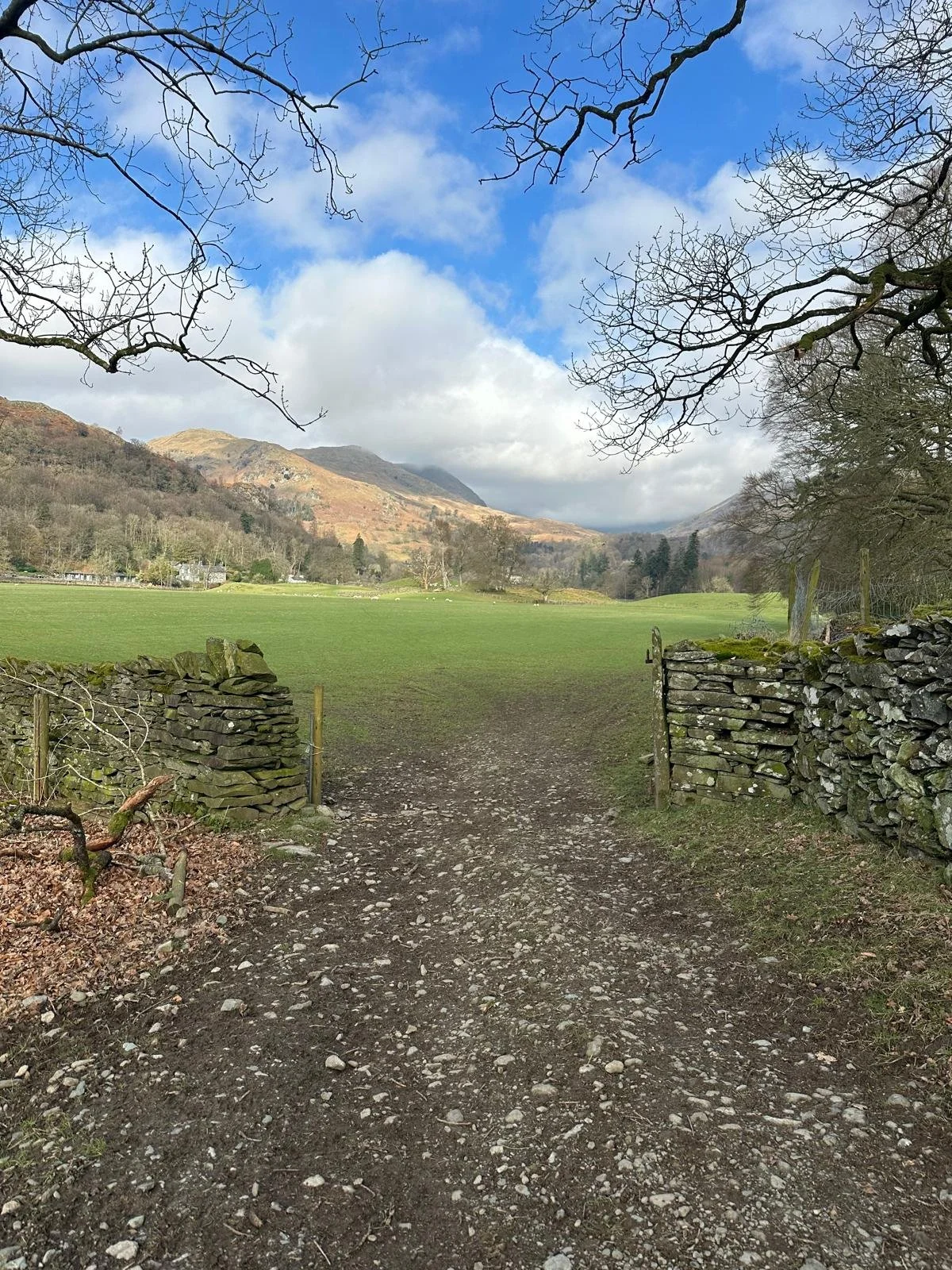 A dirt road with grass on sides leading into open green fields with stone walls on either side, surrounded by leafless trees, mountains in the distance, and a partly cloudy blue sky.