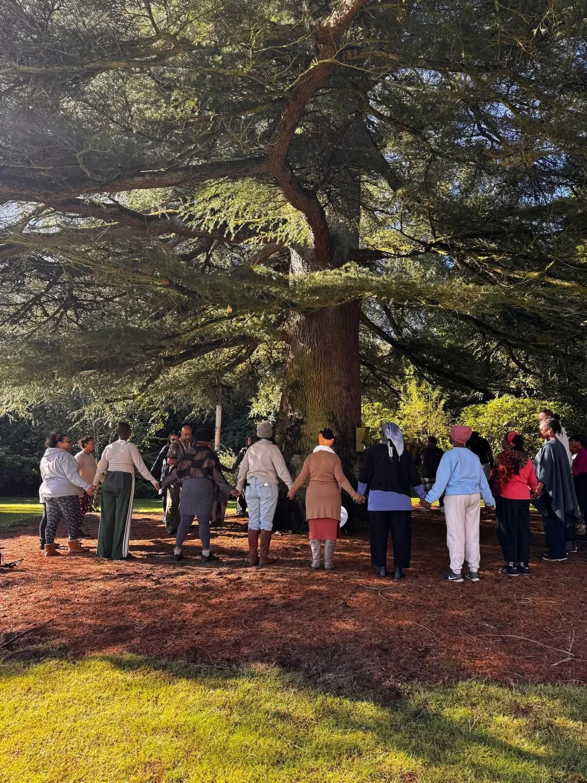 A group of people holding hands and standing in a circle around a large tree in a park.