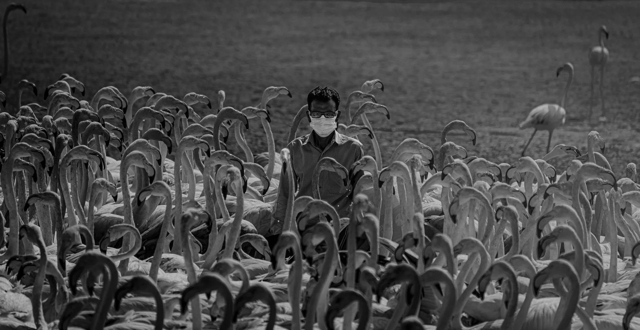 Noticed. But, Unseen.