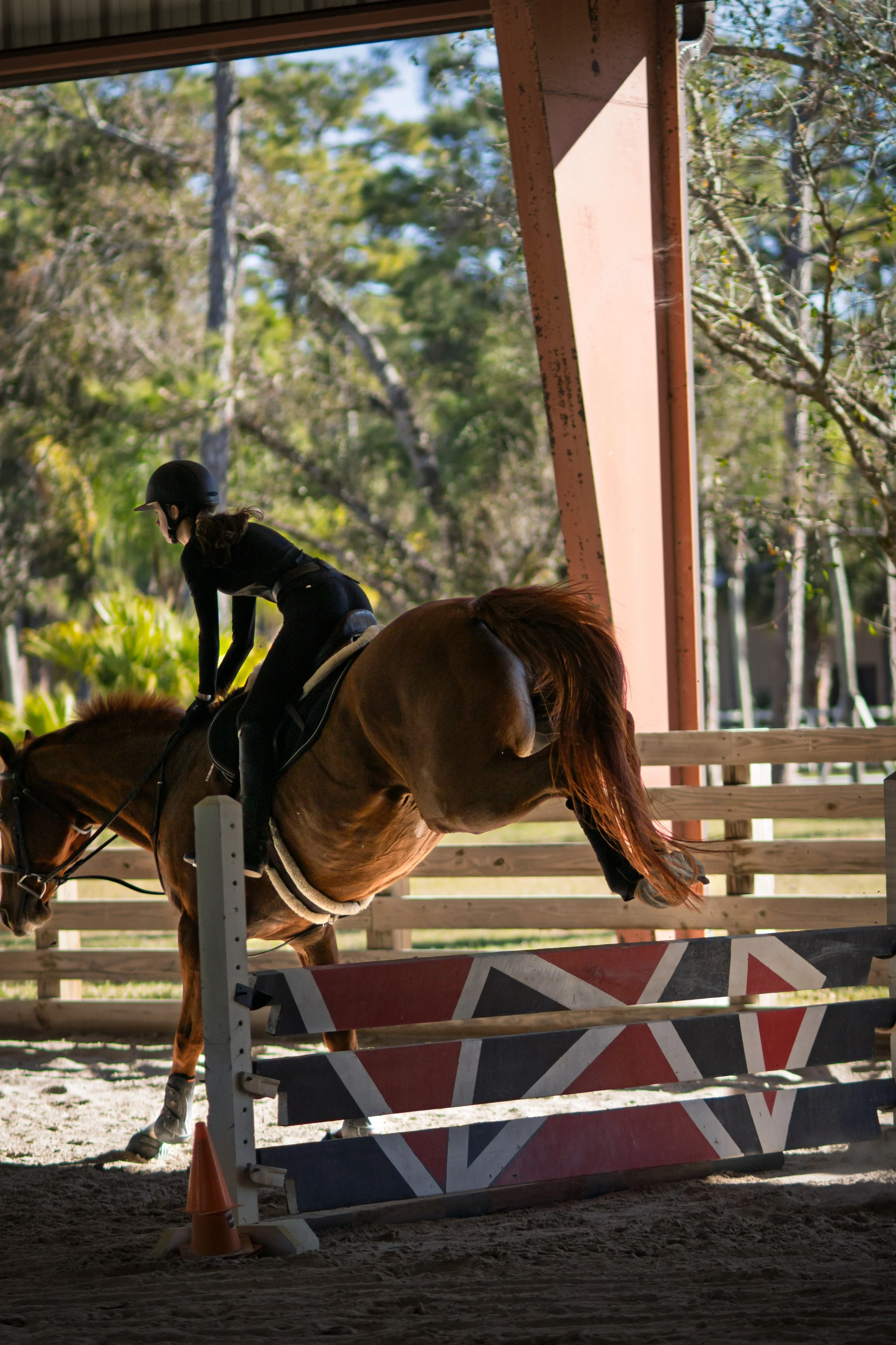 Action equine photography showing a horse and rider completing a jump in training