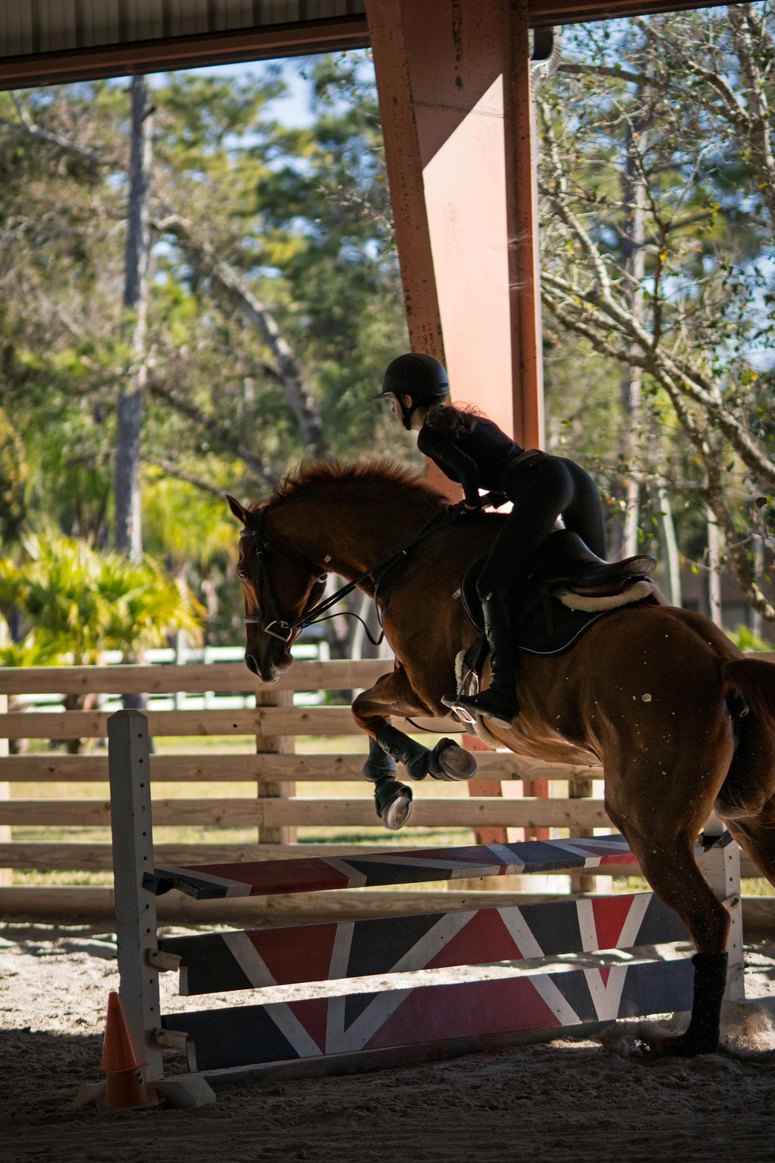 Equestrian jumping photography capturing power and precision mid-air