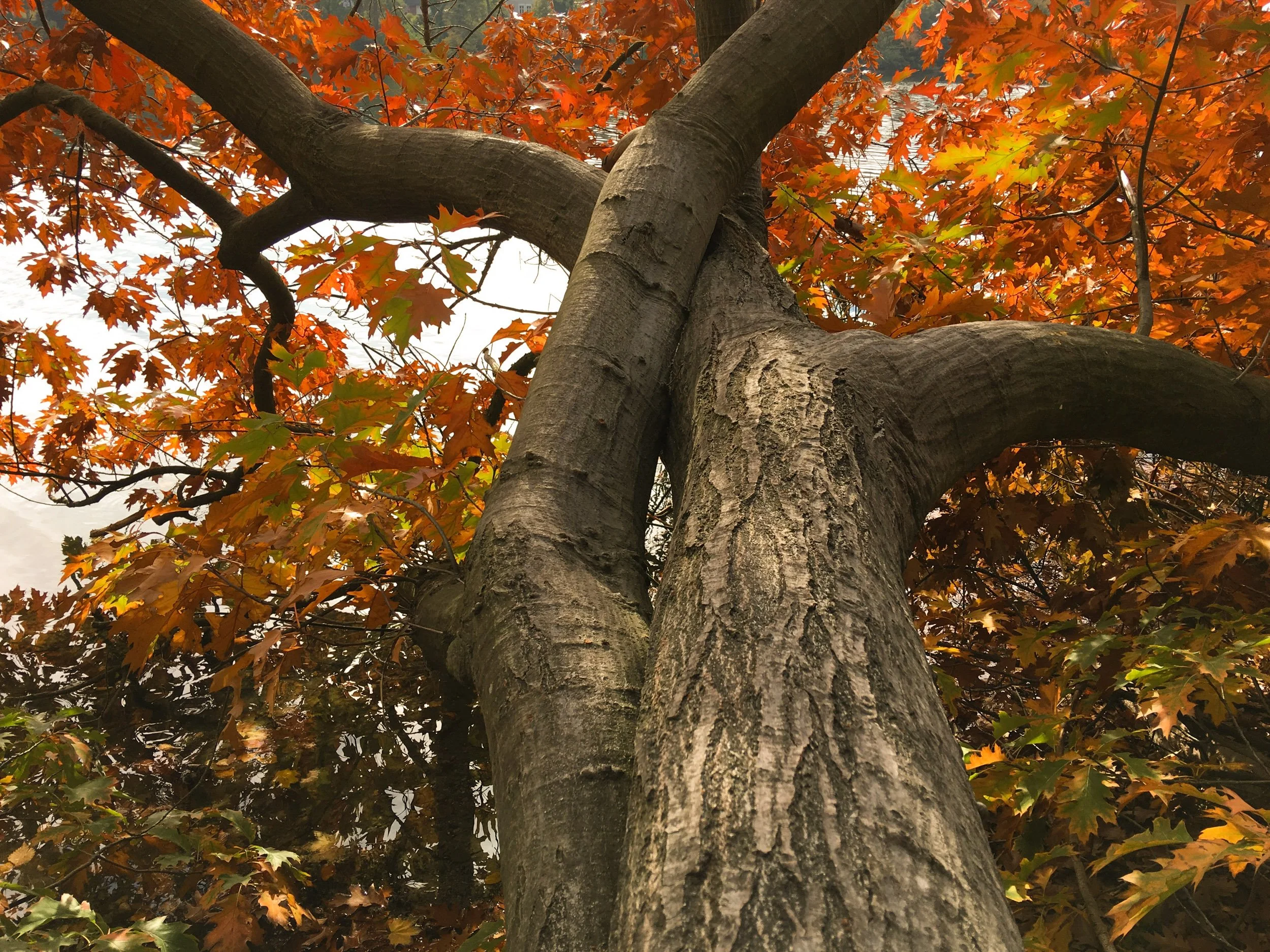 david young - alexandertechnique-18.jpg