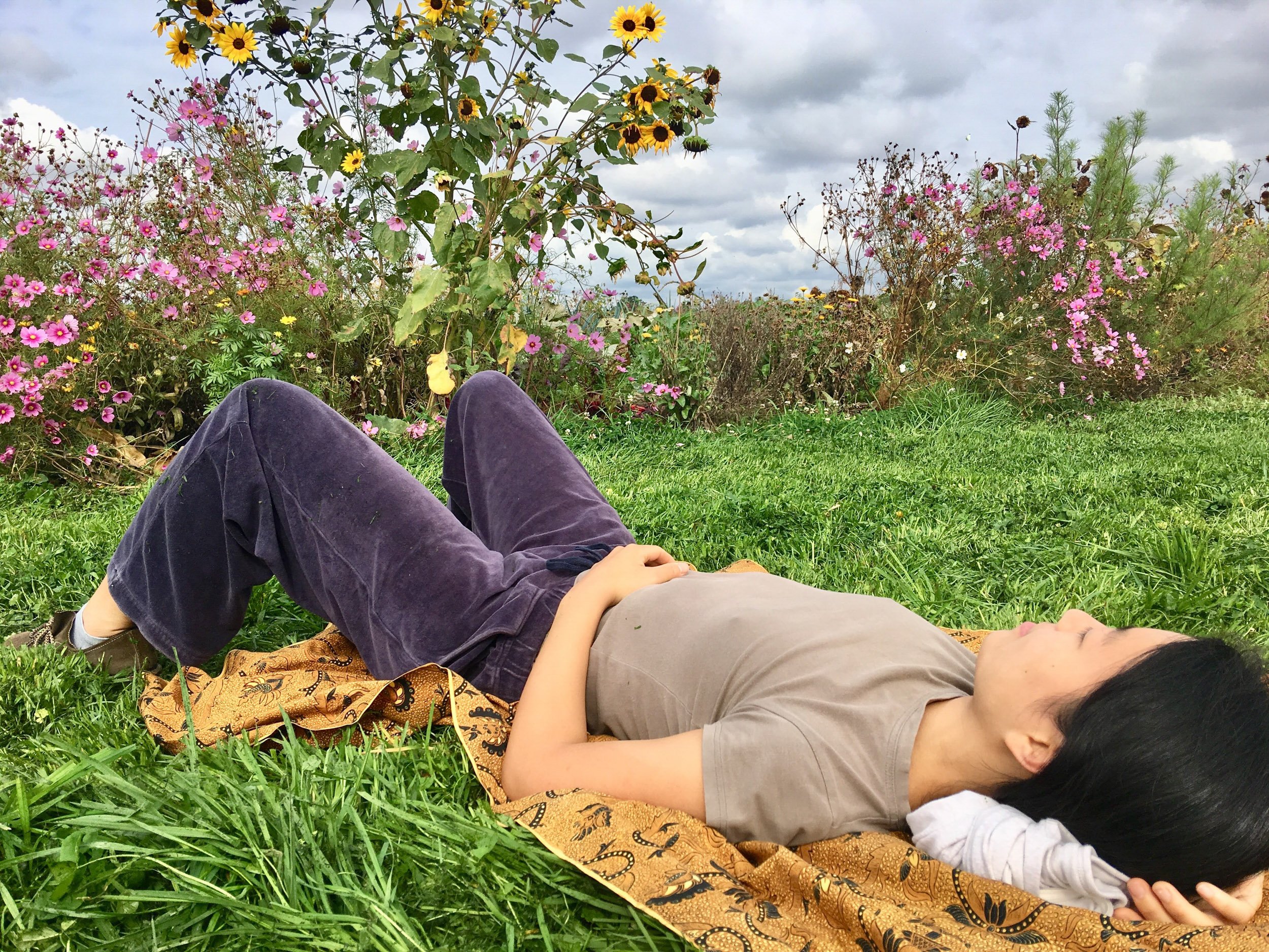 david young - alexandertechnique-17.jpg