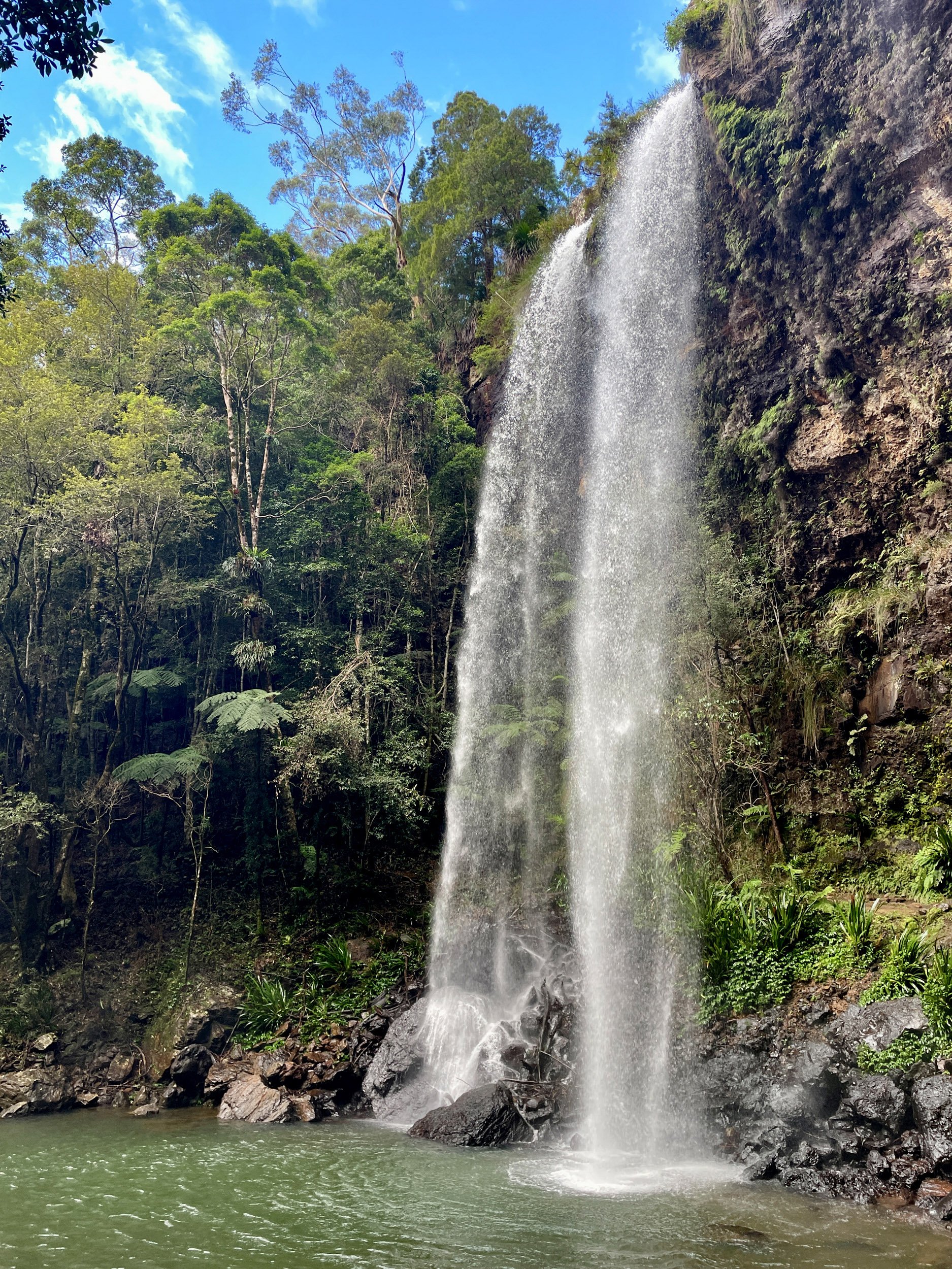 david young - alexandertechnique-42.jpg