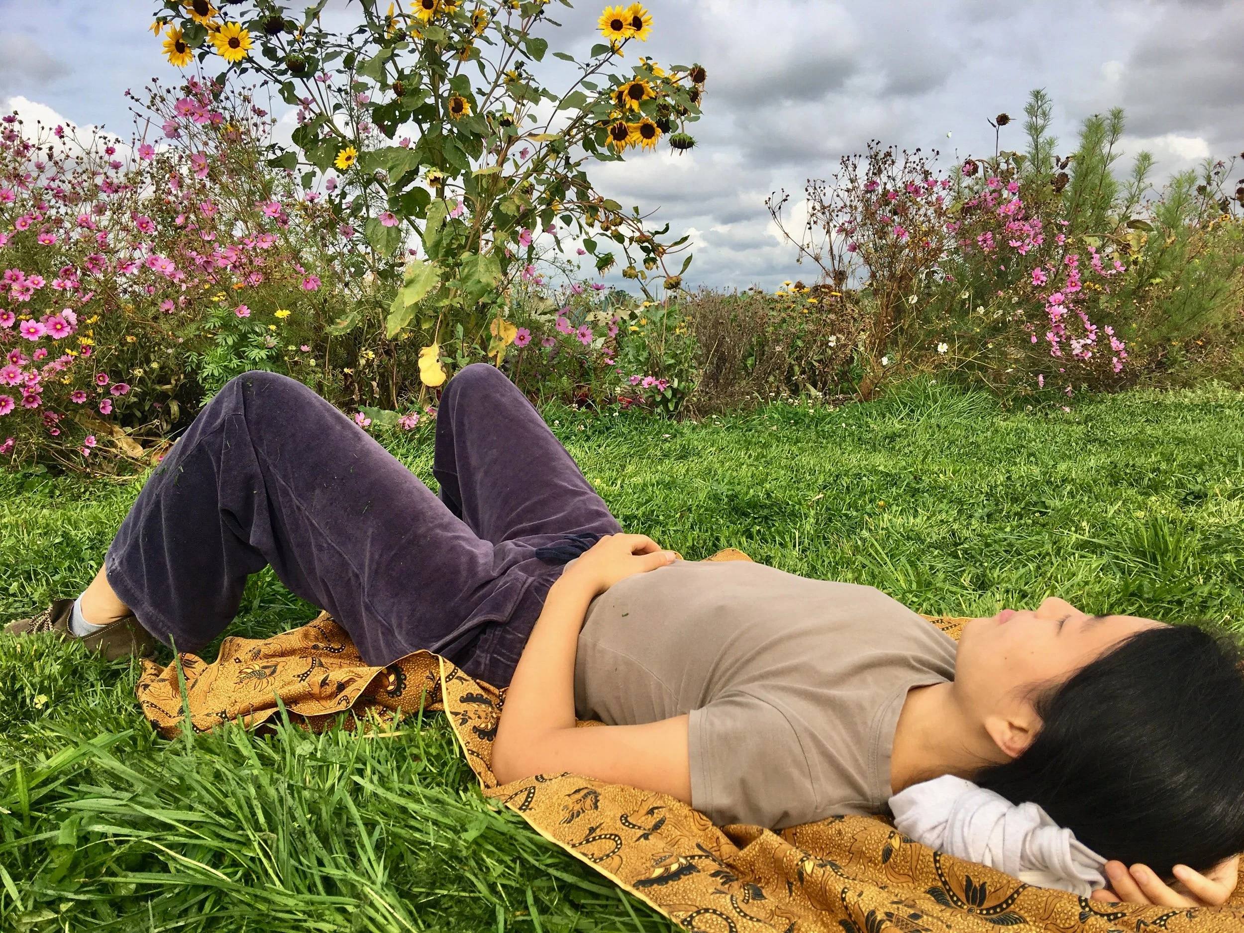 david young - alexandertechnique-17.jpg