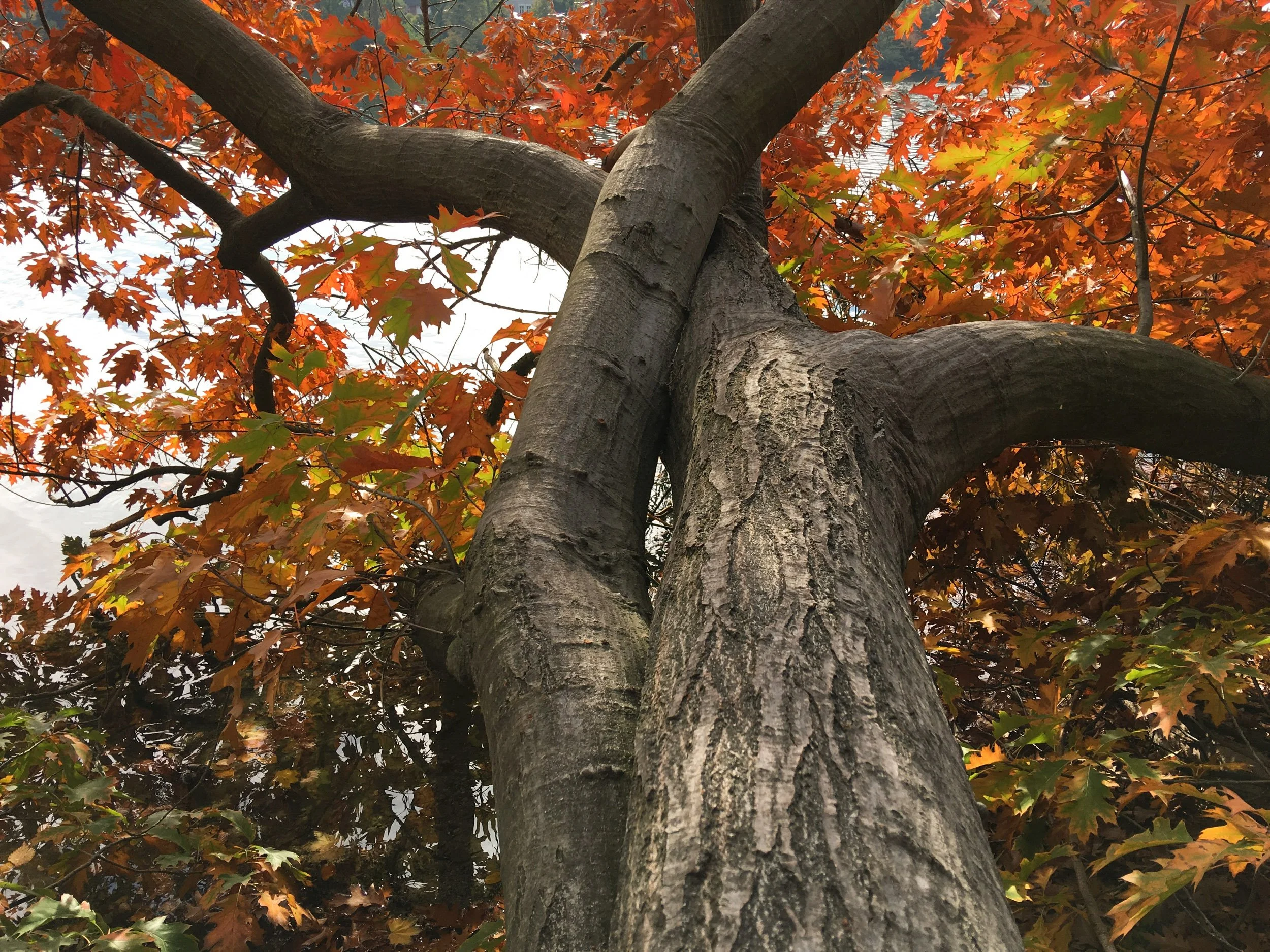 david young - alexandertechnique-18.jpg