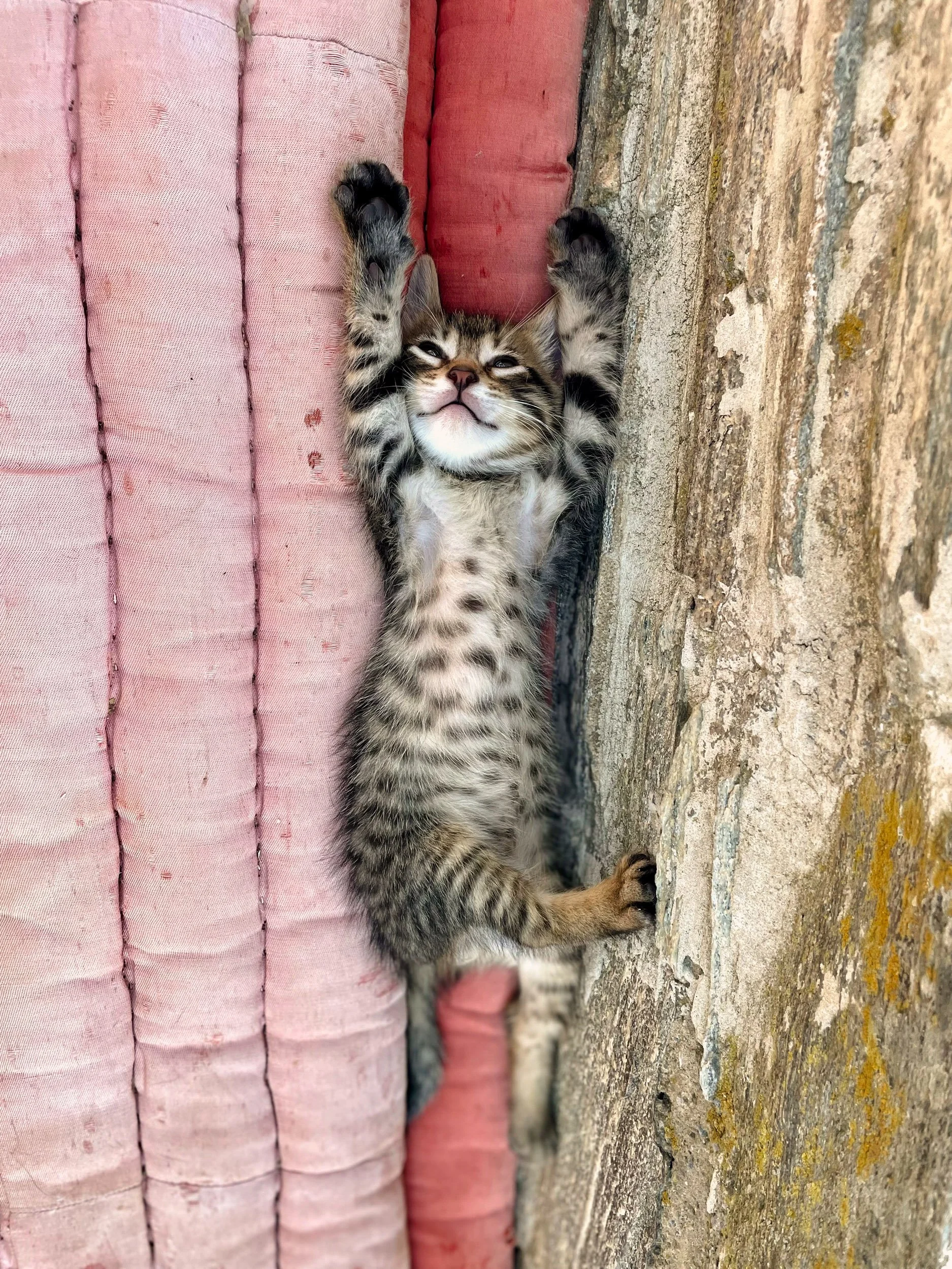 david young - alexandertechnique-27.jpg