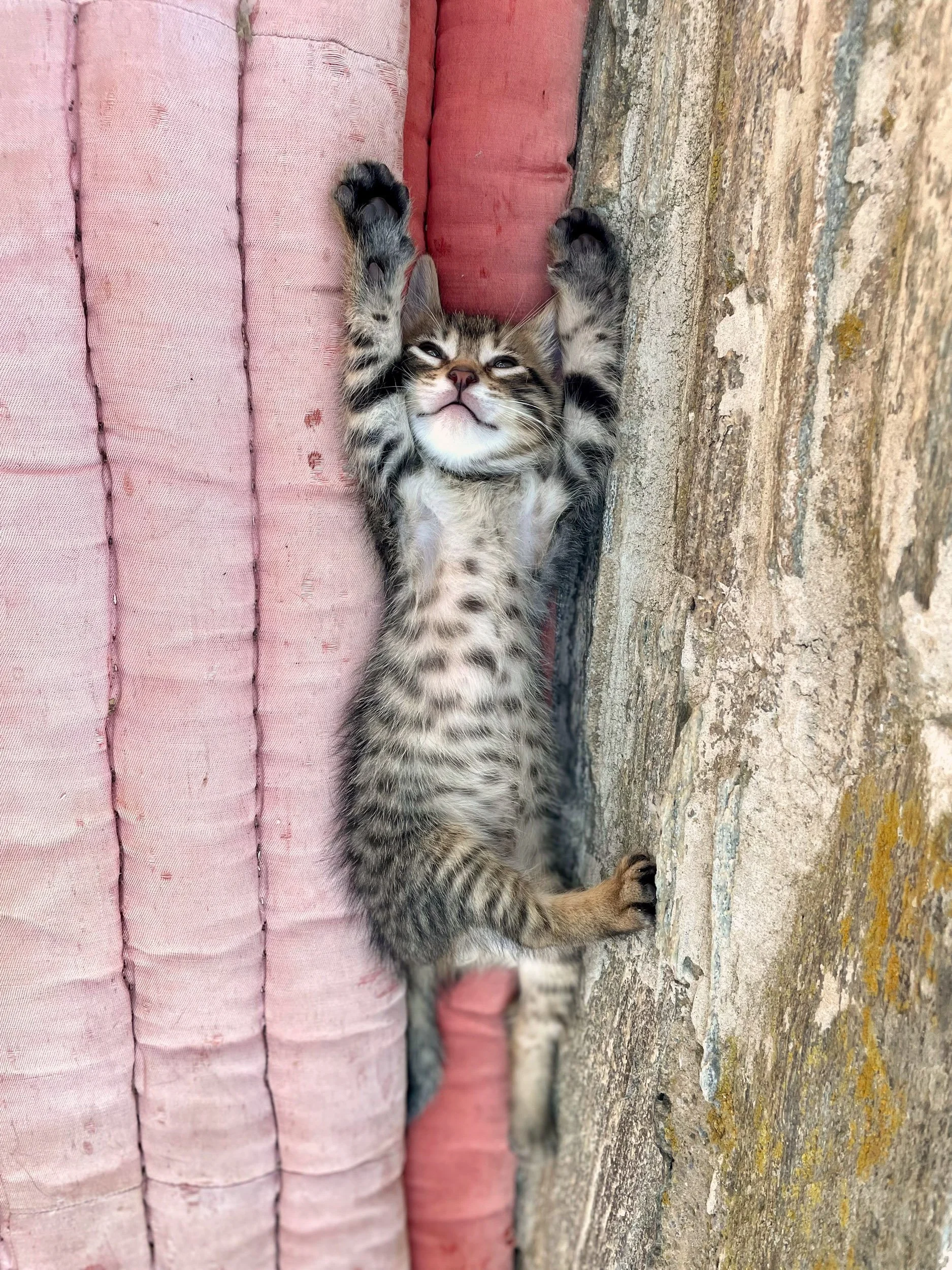 david young - alexandertechnique-27.jpg