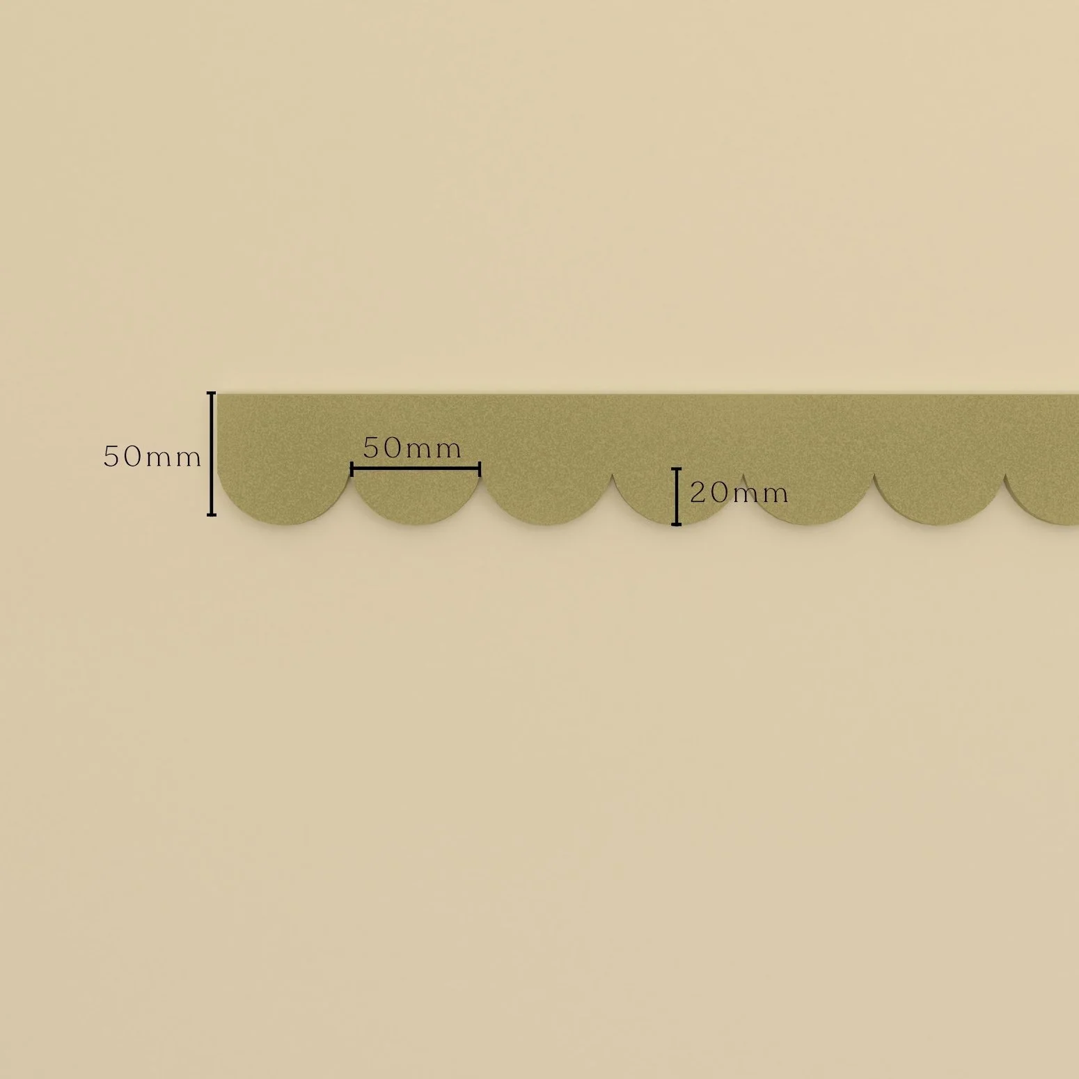 medium scallop.jpg