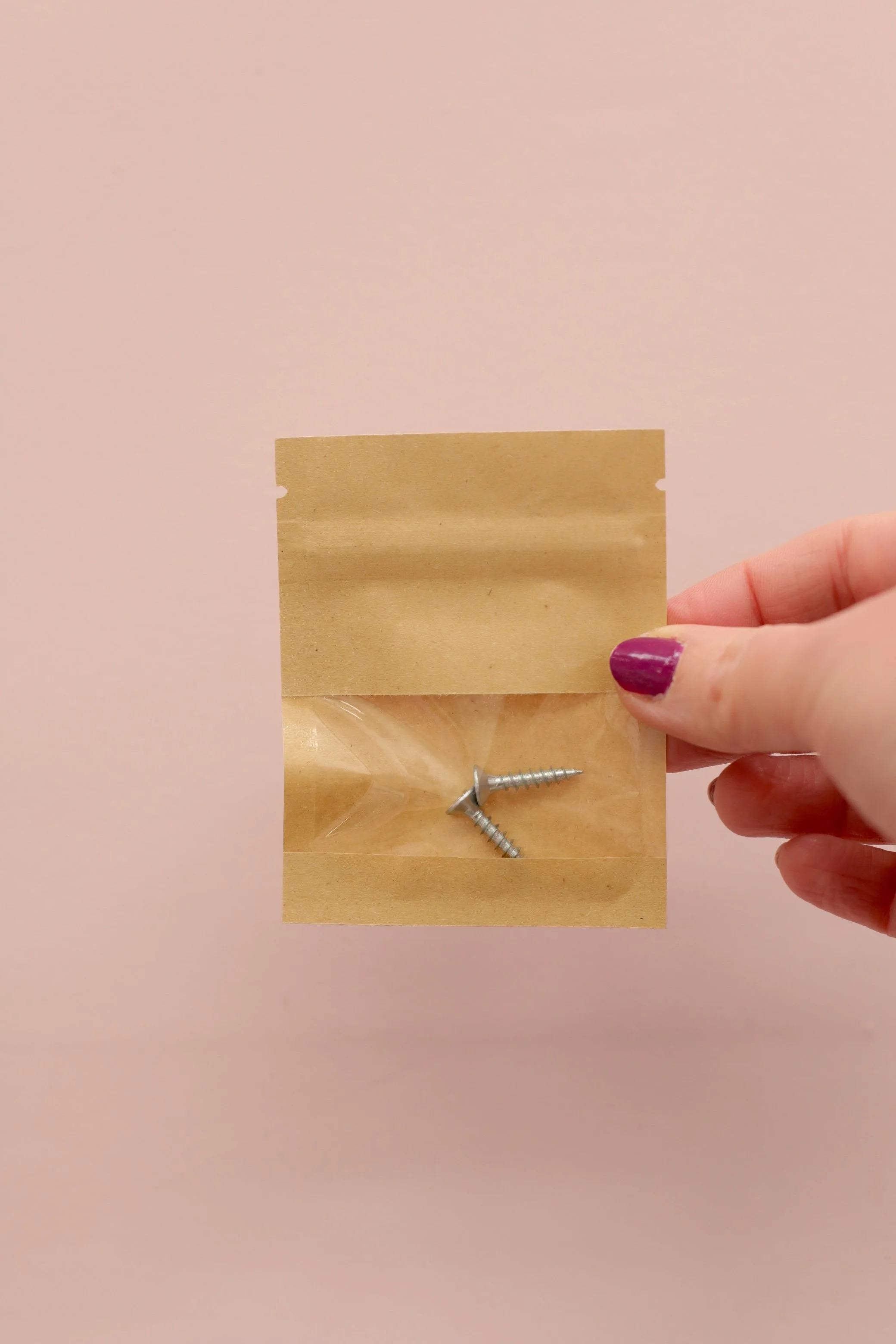 Bracket Screws x2