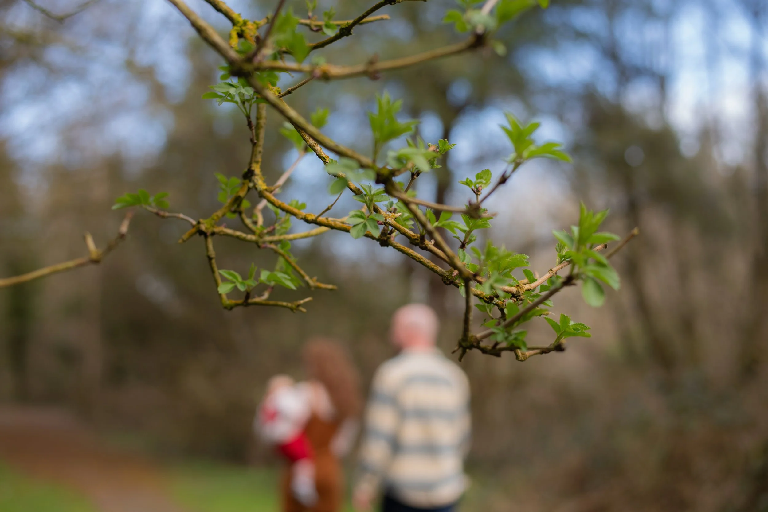 NaomiMaguire_Somerset-60.jpg