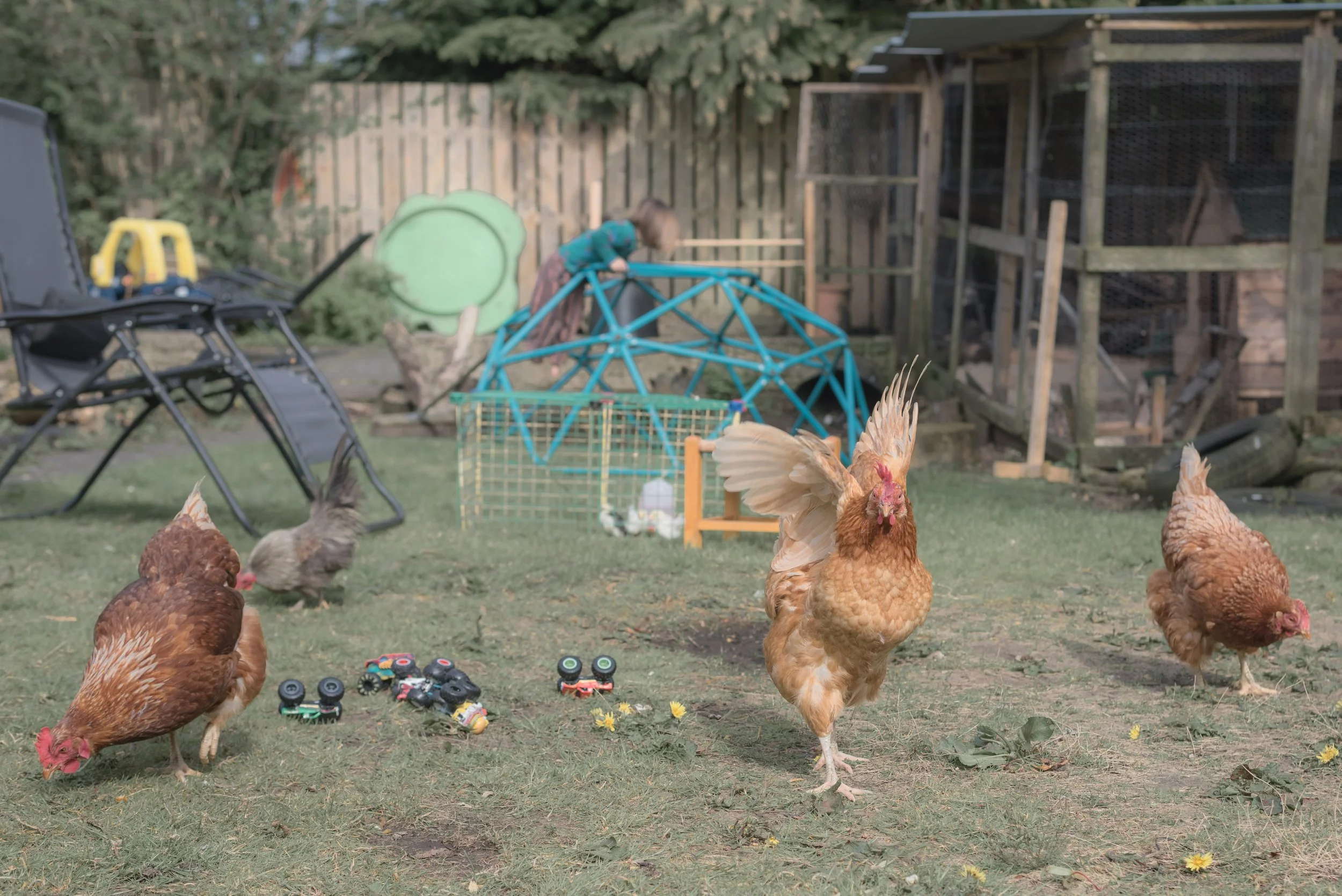 Documenting A Family Farm In A Townhouse!