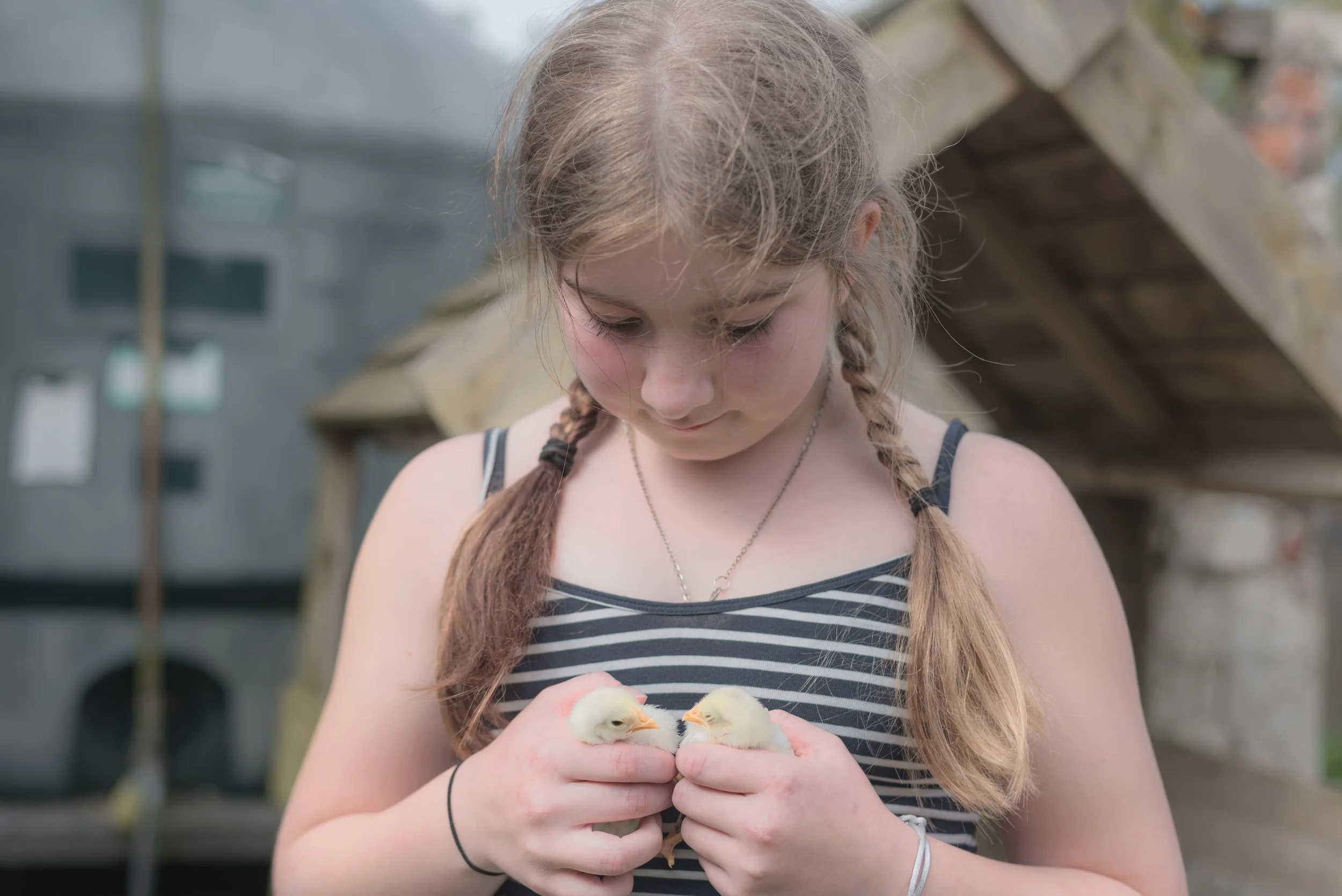 Documenting A Family Farm In A Townhouse!