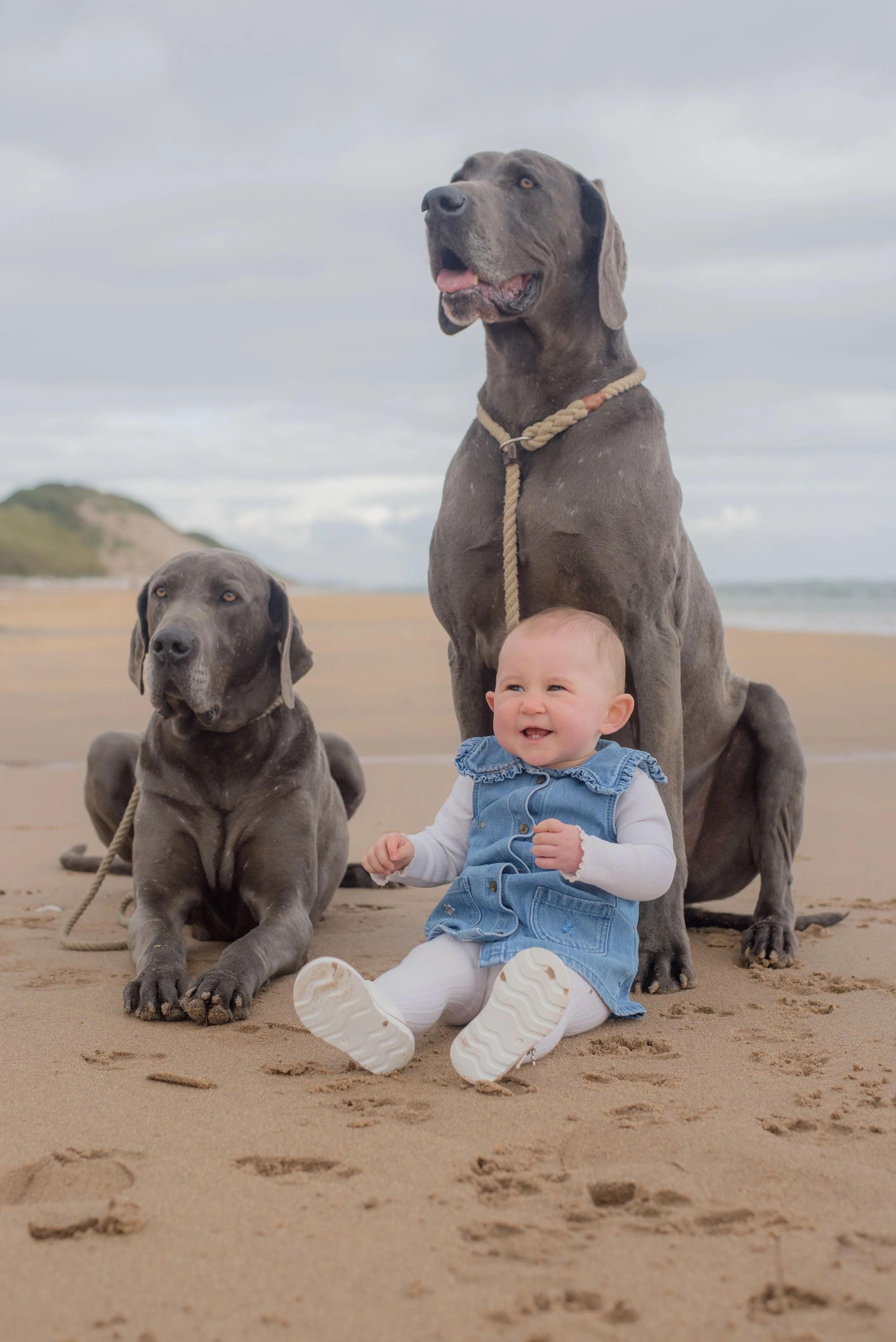 Katie_Williamson-28.jpg