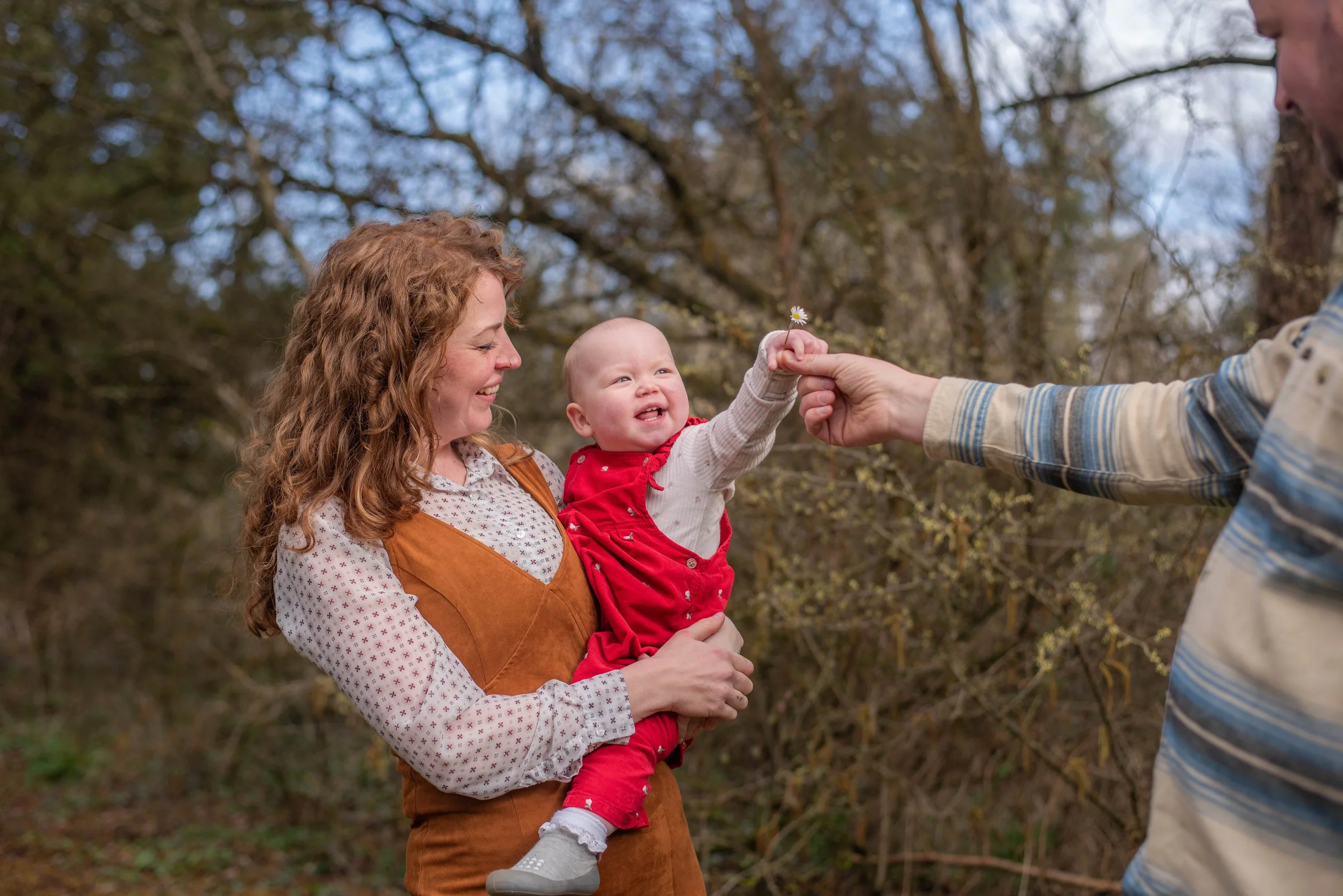 A Forest Family Story Session in Somerset Forest, Coleraine
