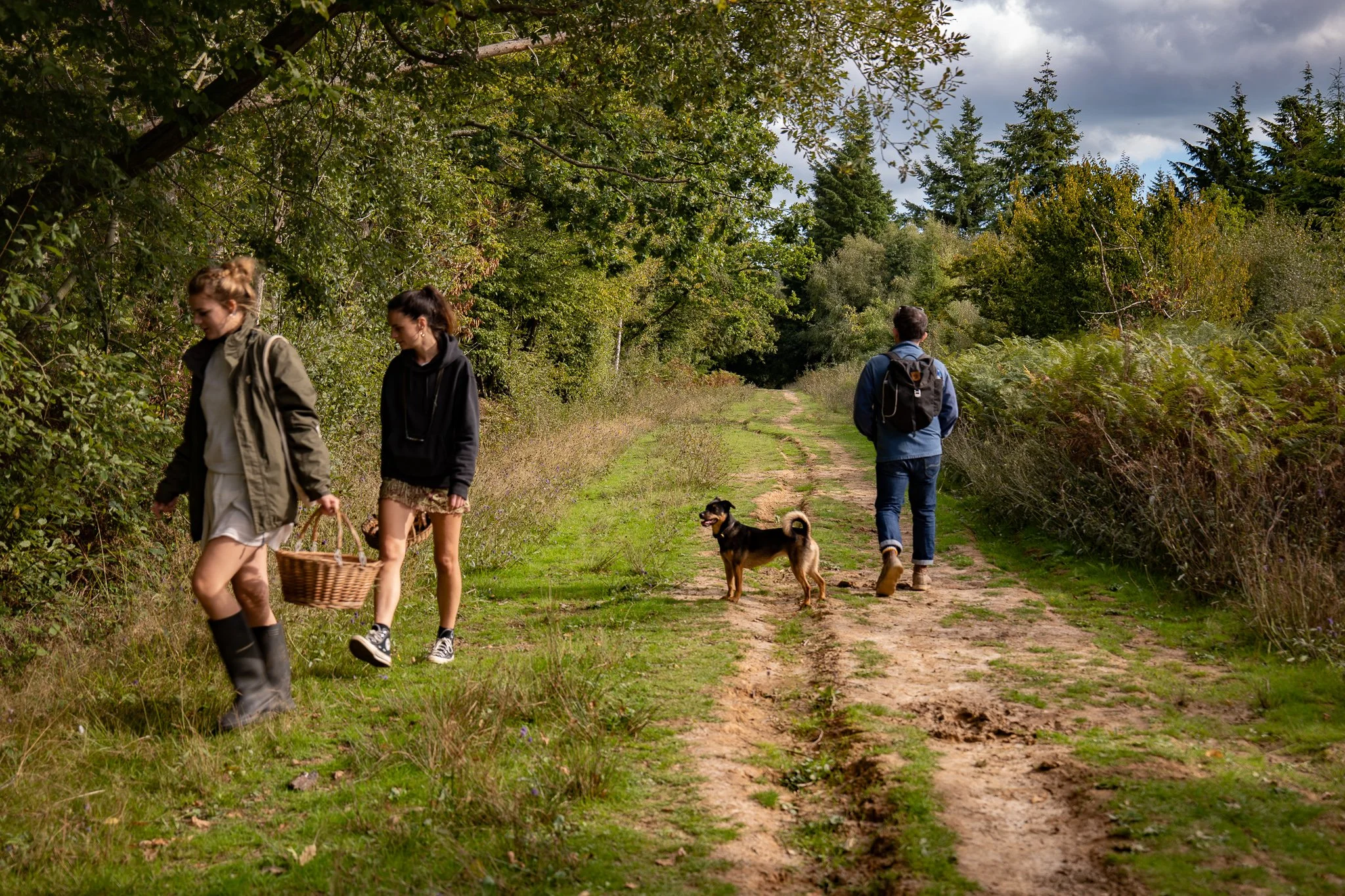 Spring Foraging w/tasters, BRIGHTON 