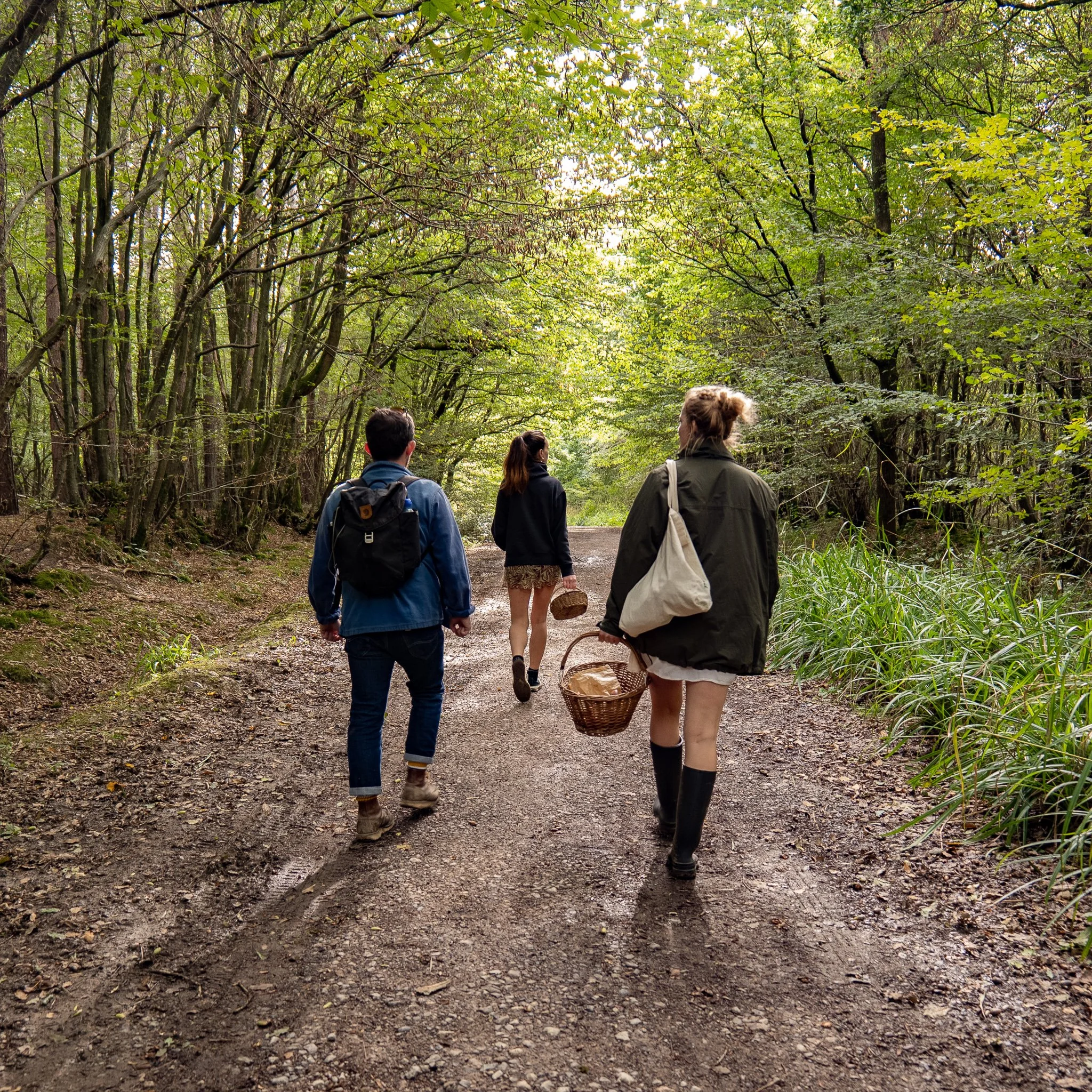 Spring Foraging w/tasters, BRIGHTON 