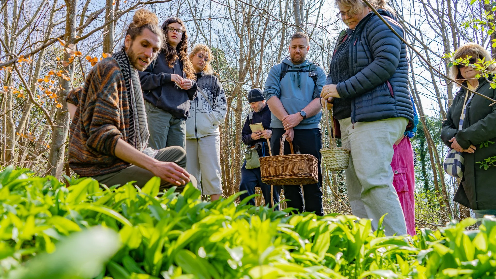 Community Forage, Falmer, BRIGHTON