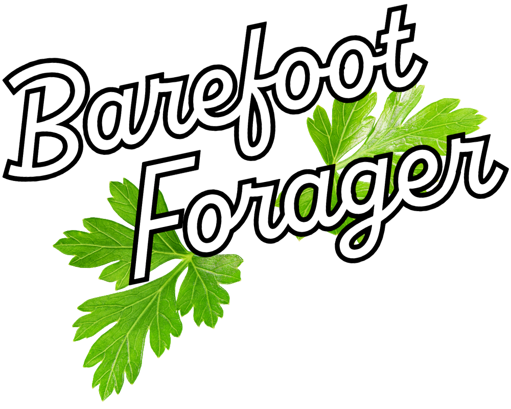 The Barefoot Forager