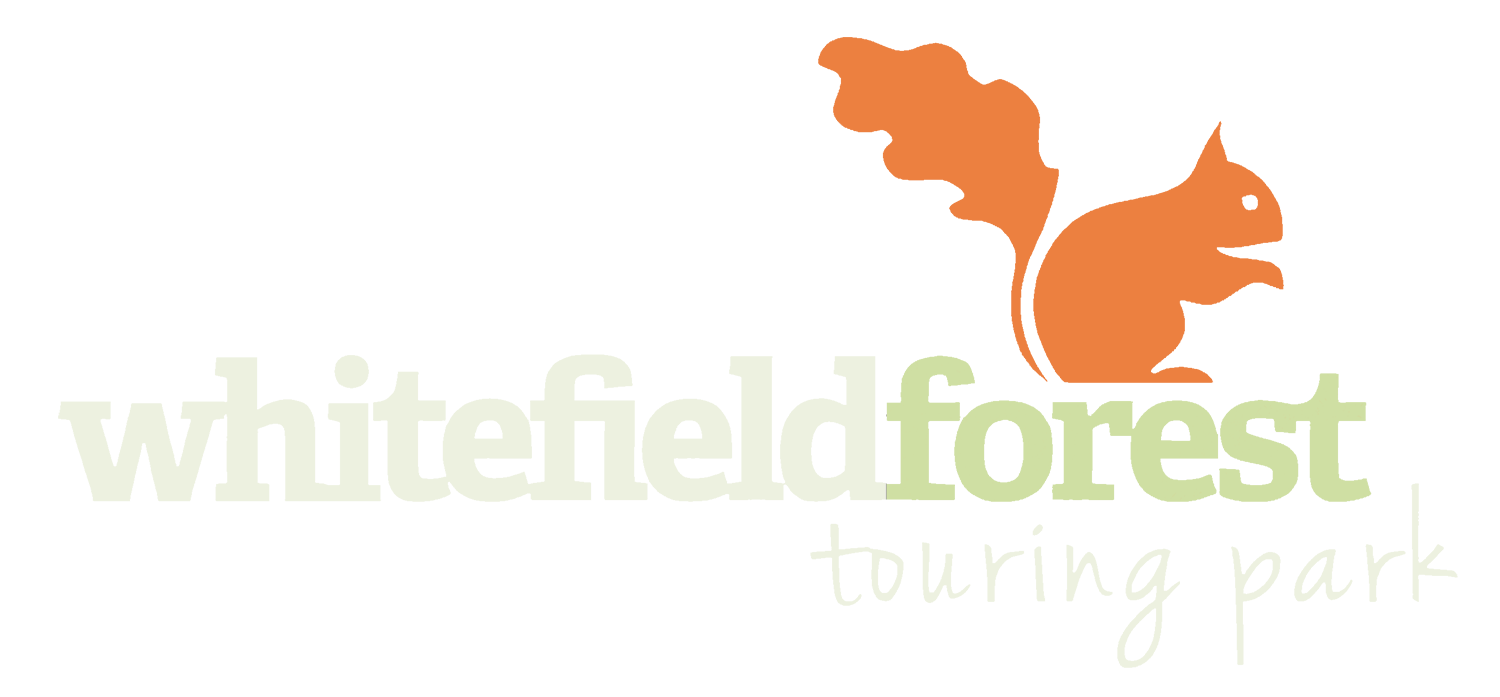 Logo for Whitefield Forest Touring Park featuring a stylized squirrel and orange leaf.