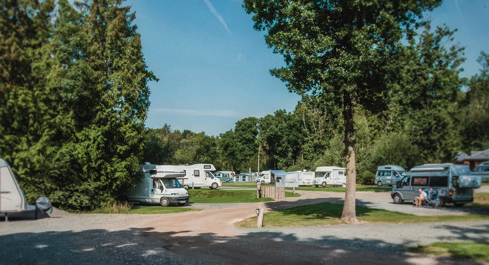 Campground with multiple RVs and motorhomes parked among trees under a clear blue sky.