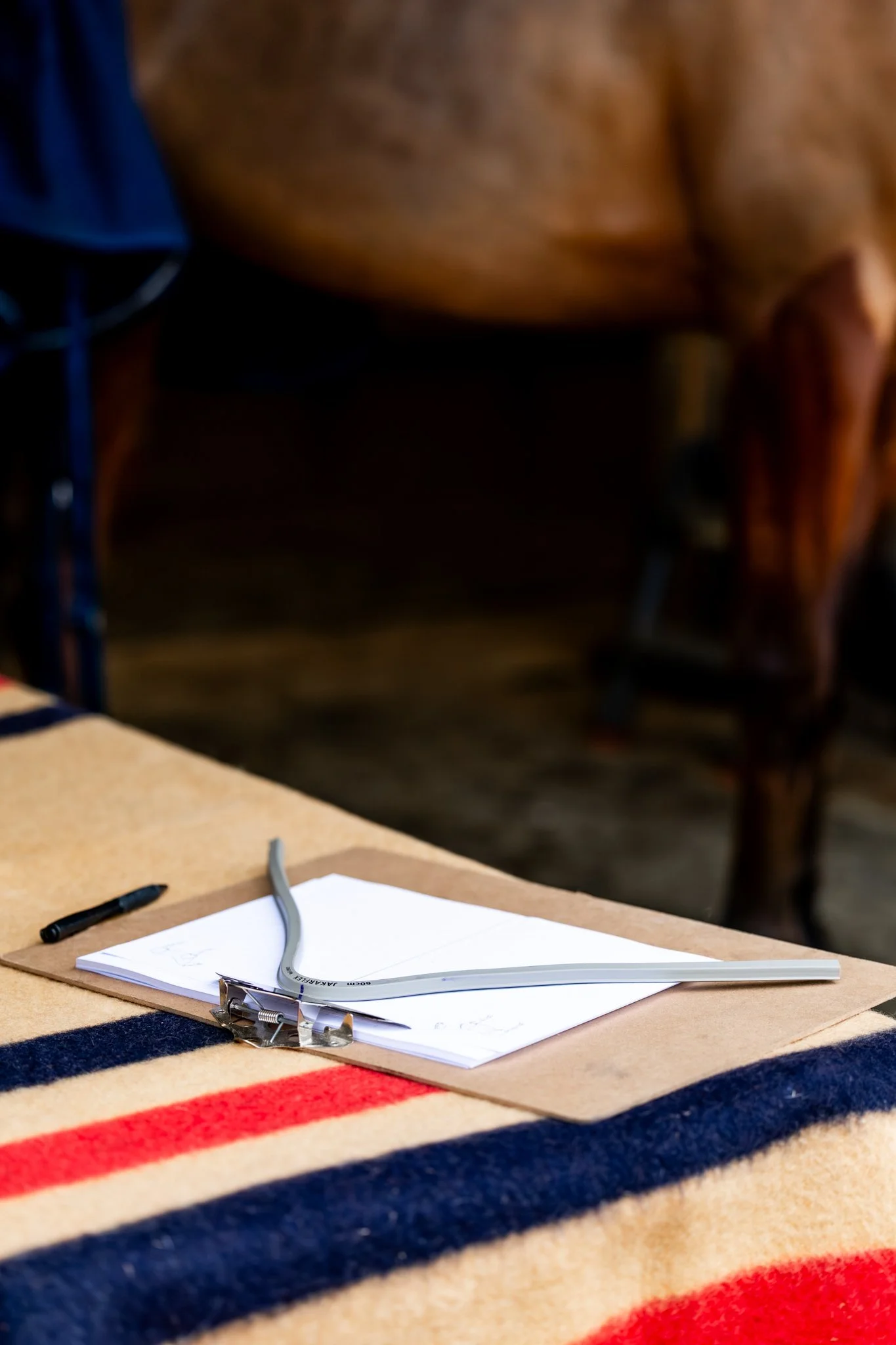 A desk with a black marker, a clipboard holding sheets of paper, and a gray L-shaped object on top of the papers. The desk is covered with a beige and red striped blanket. In the background, there is a brown horse with a saddle.