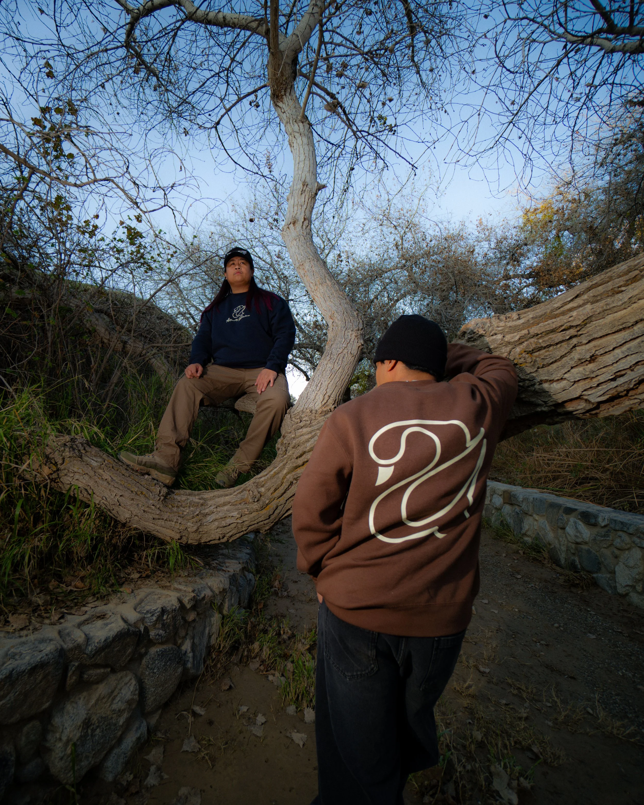 A group of three people outdoors, one sitting on a large fallen tree trunk and two standing nearby, with leafless trees and a stone wall in the background.
