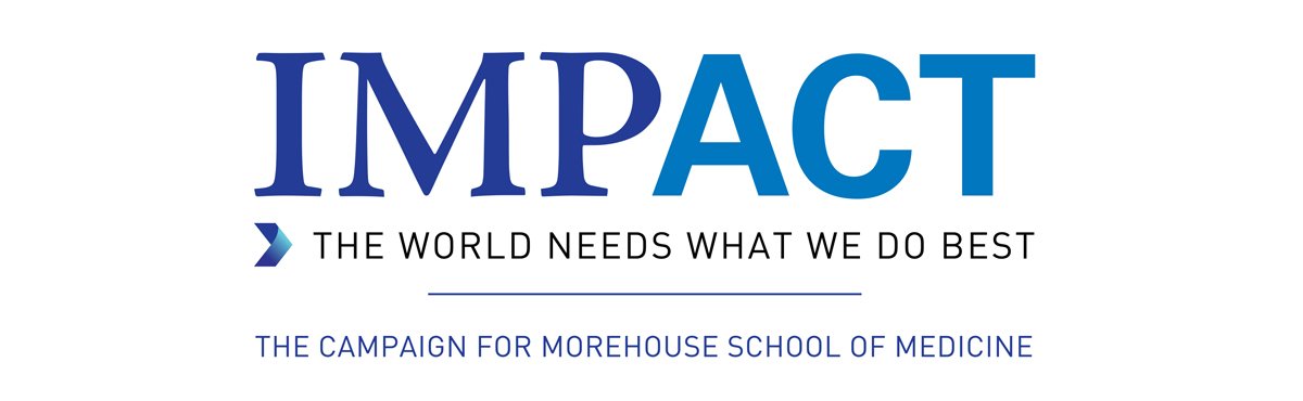 MSMIMPACT_LOGO.jpg