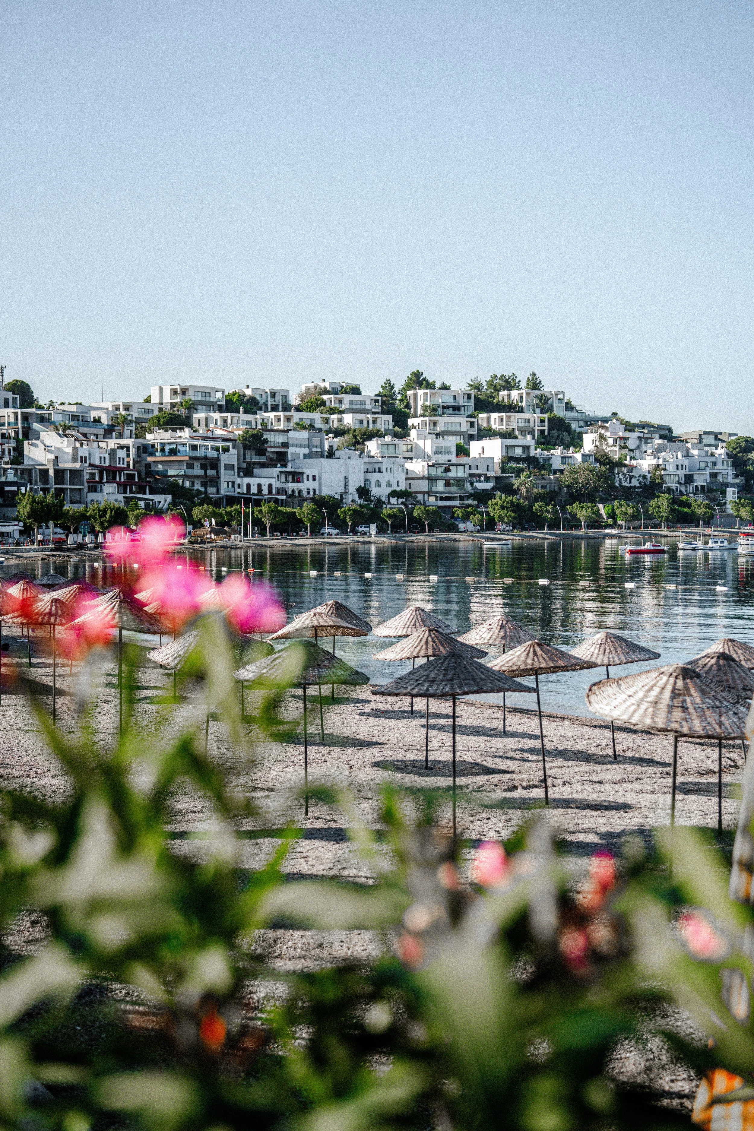 pexels-mehmet-altintas-392989477-31943677.jpg