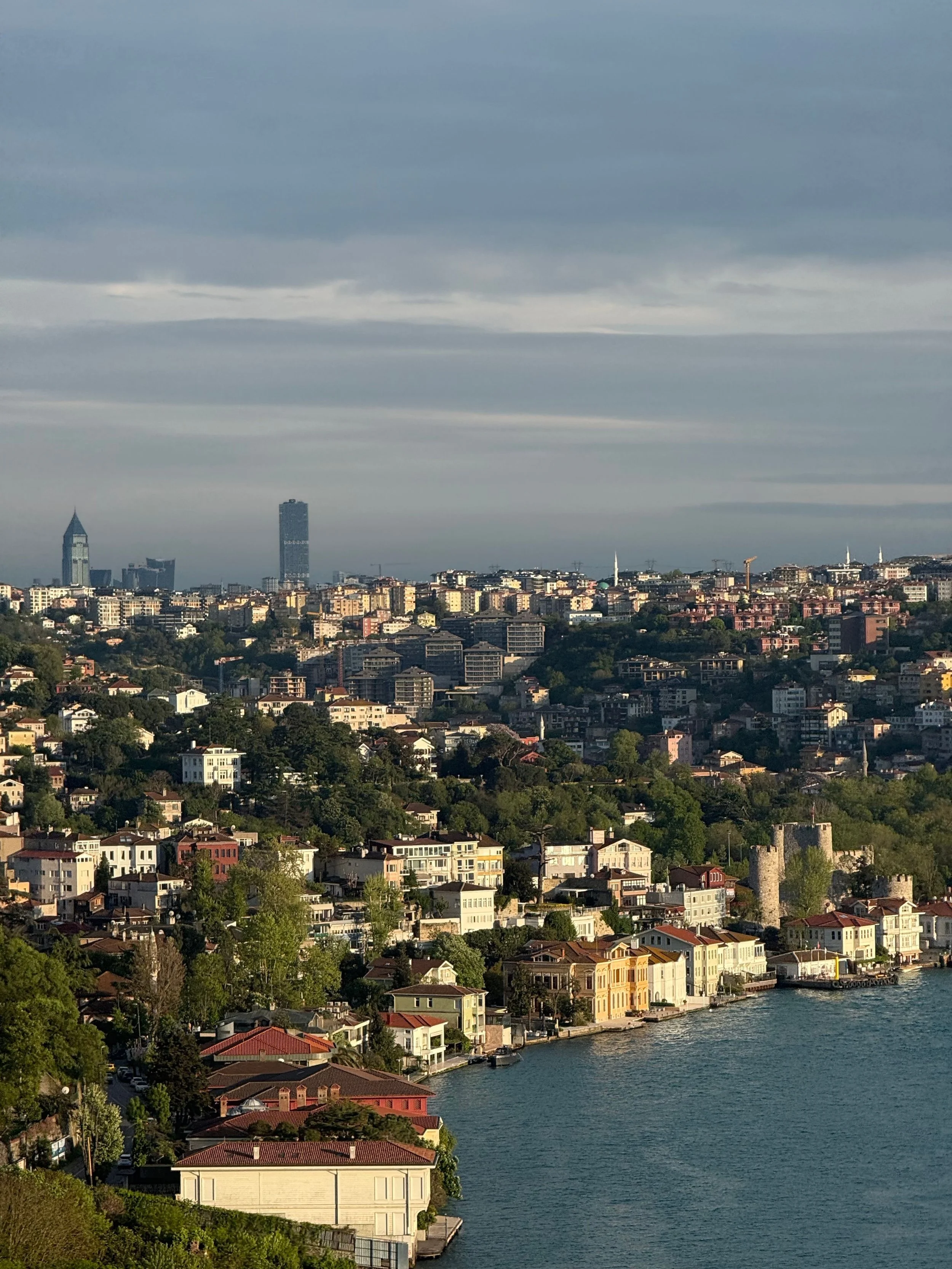 pexels-damla-demir-yolcu-2156849246-37741052.jpg