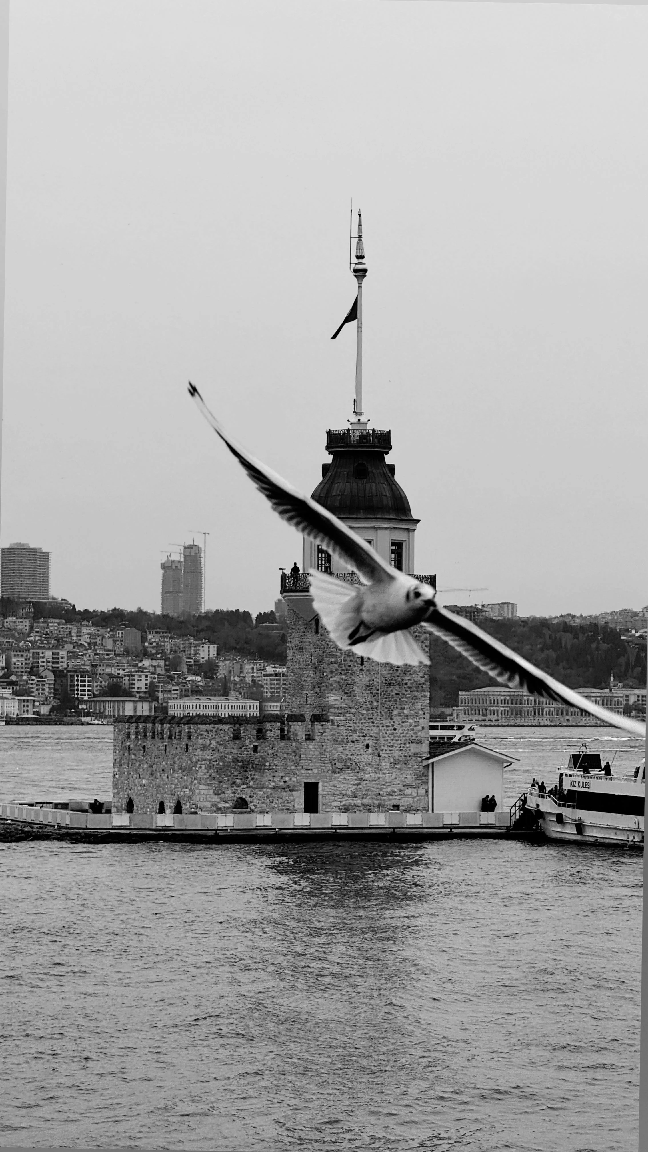 Based in Istanbul and working across Turkiye, we support individuals, families, and decision-makers who value time, discretion, and considered choices. From lifestyle and travel to culture, events, property, and beyond, concierge services