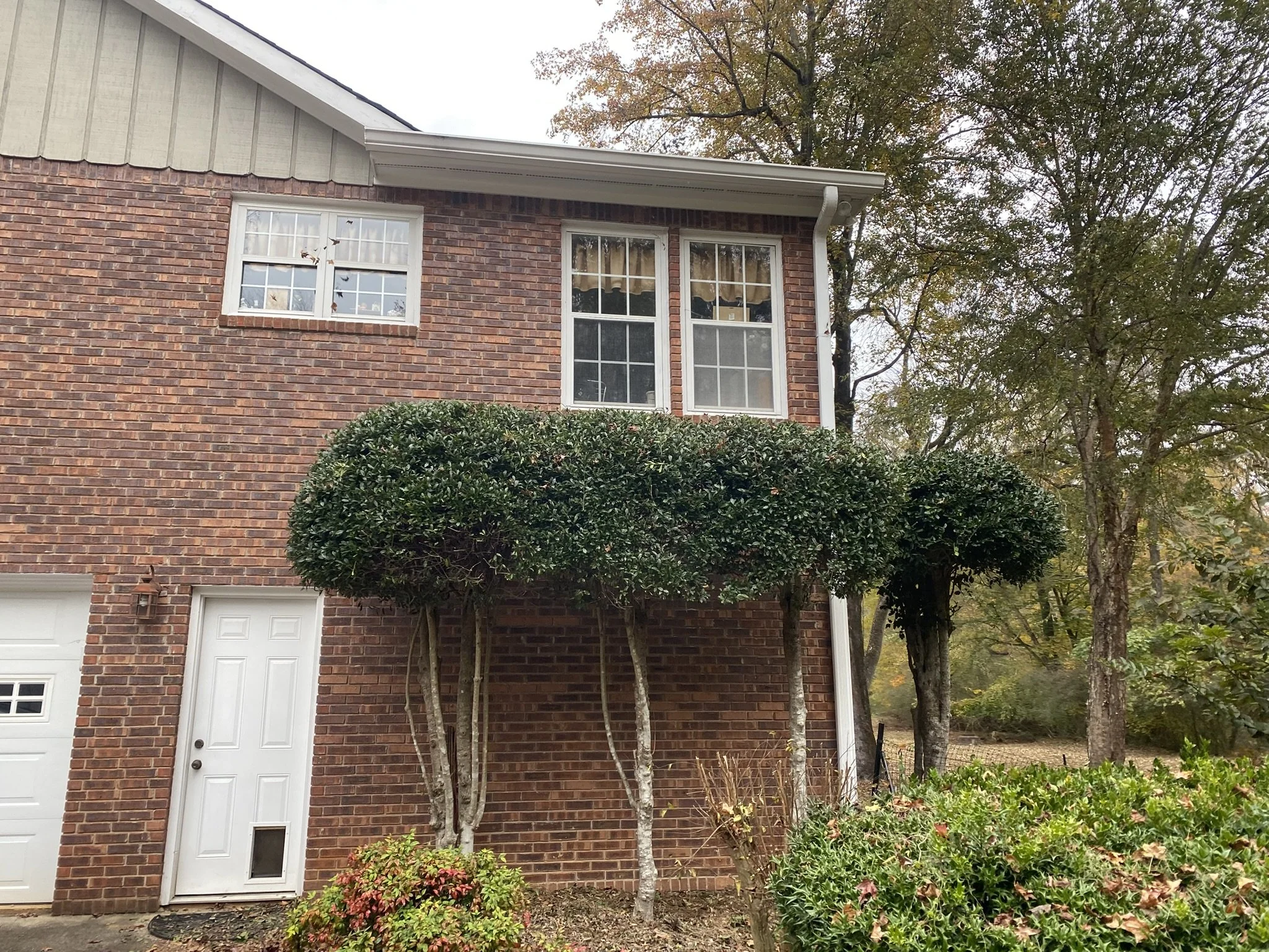 Residential home with trimmed shrubs and maintained landscaping as part of exterior property care.