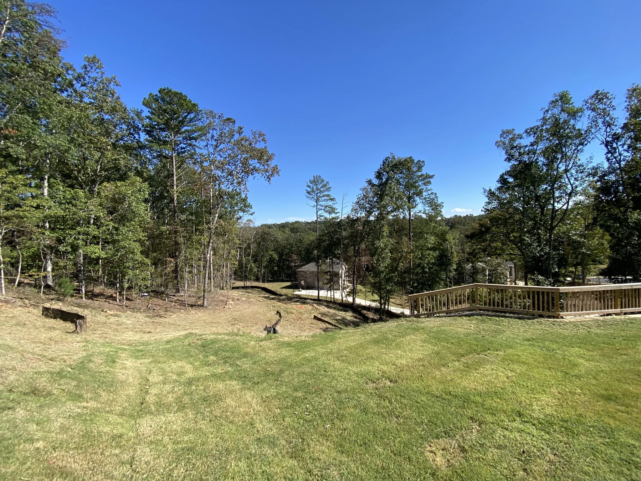 A backyard with a grassy lawn, trees, a wooden deck, and a clear blue sky.
