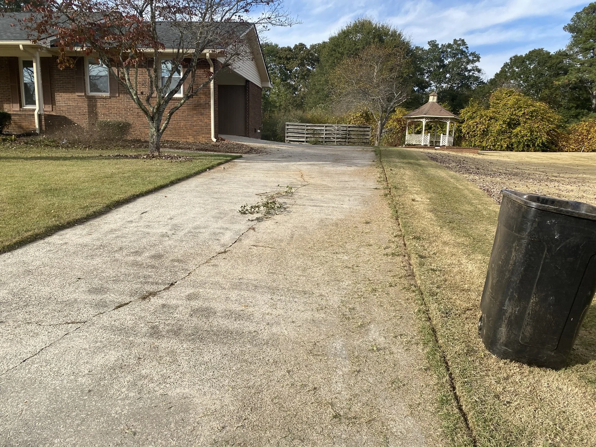 Residential driveway and surrounding yard evaluated for exterior maintenance and seasonal cleanup services.
