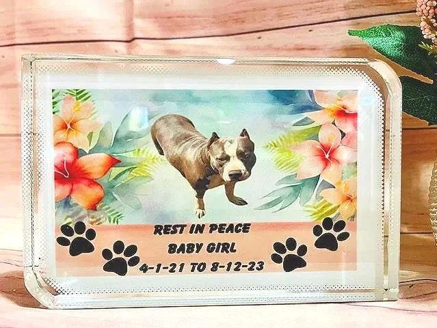 This custom made crystal was made for a customer that lost their pet. 