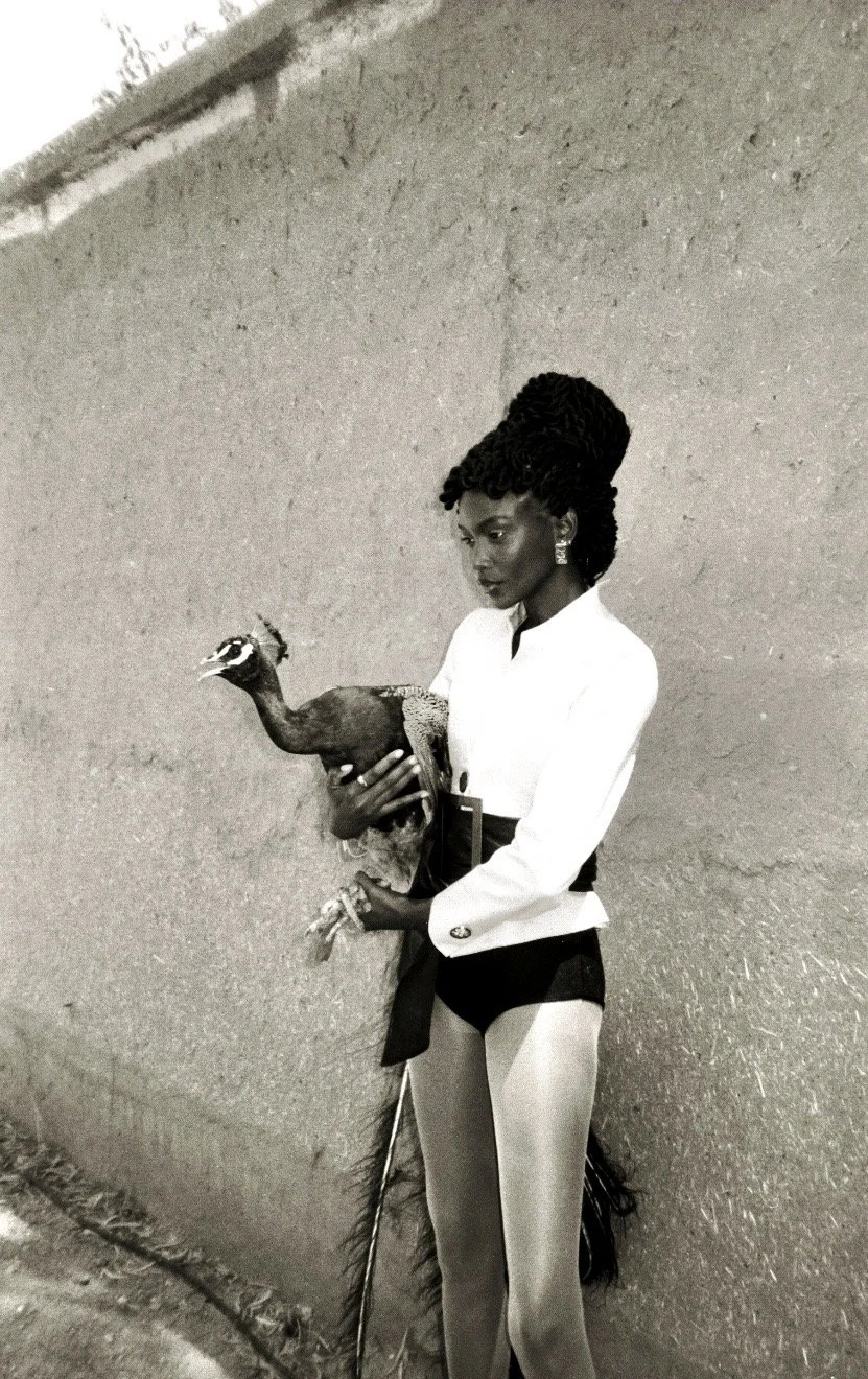 IMG_6369.JPG