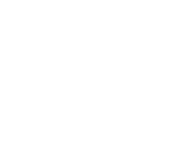 Stoneridge Consulting