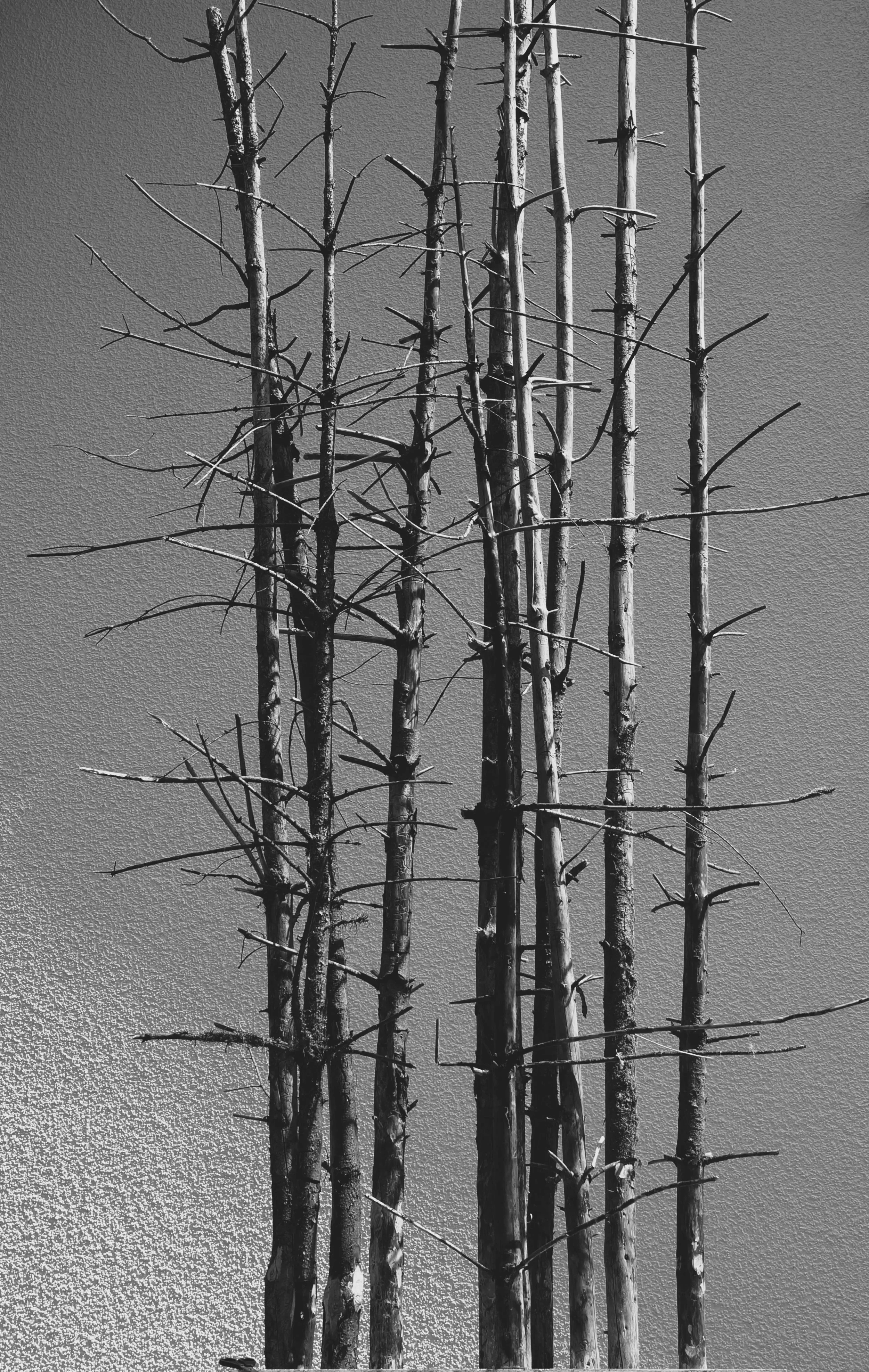 Waldbrand