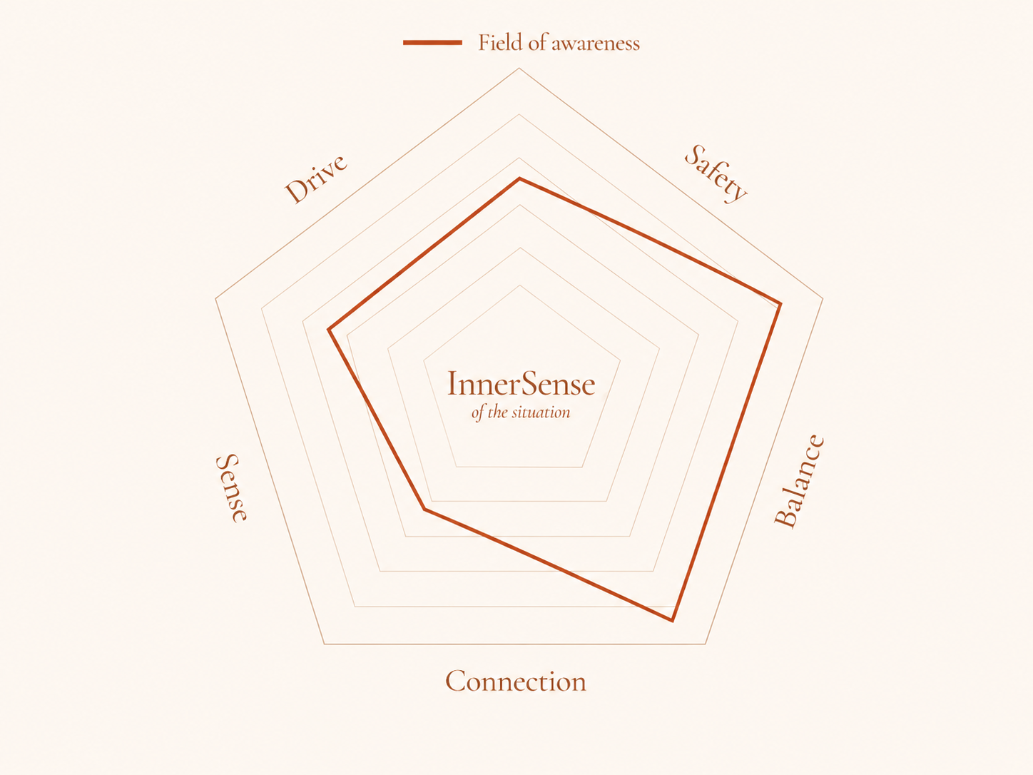 A pentagon-shaped radar chart titled 'InnerSense of the situation' with five labeled axes: Drive, Field of awareness, Safety, Balance, Connection, and Sense. The chart displays varying levels in each category.