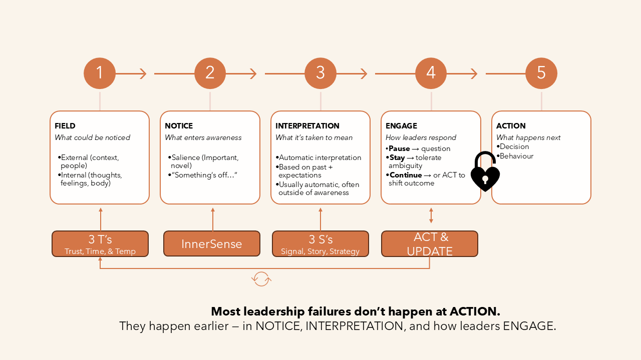 A flowchart illustrating the stages of effective leadership response process from noticing issues to taking action. It includes five main steps: Field, Notice, Interpretation, Engage, and Action, each with explanations. The chart emphasizes that leadership fails often occur earlier in awareness stages, not at action.